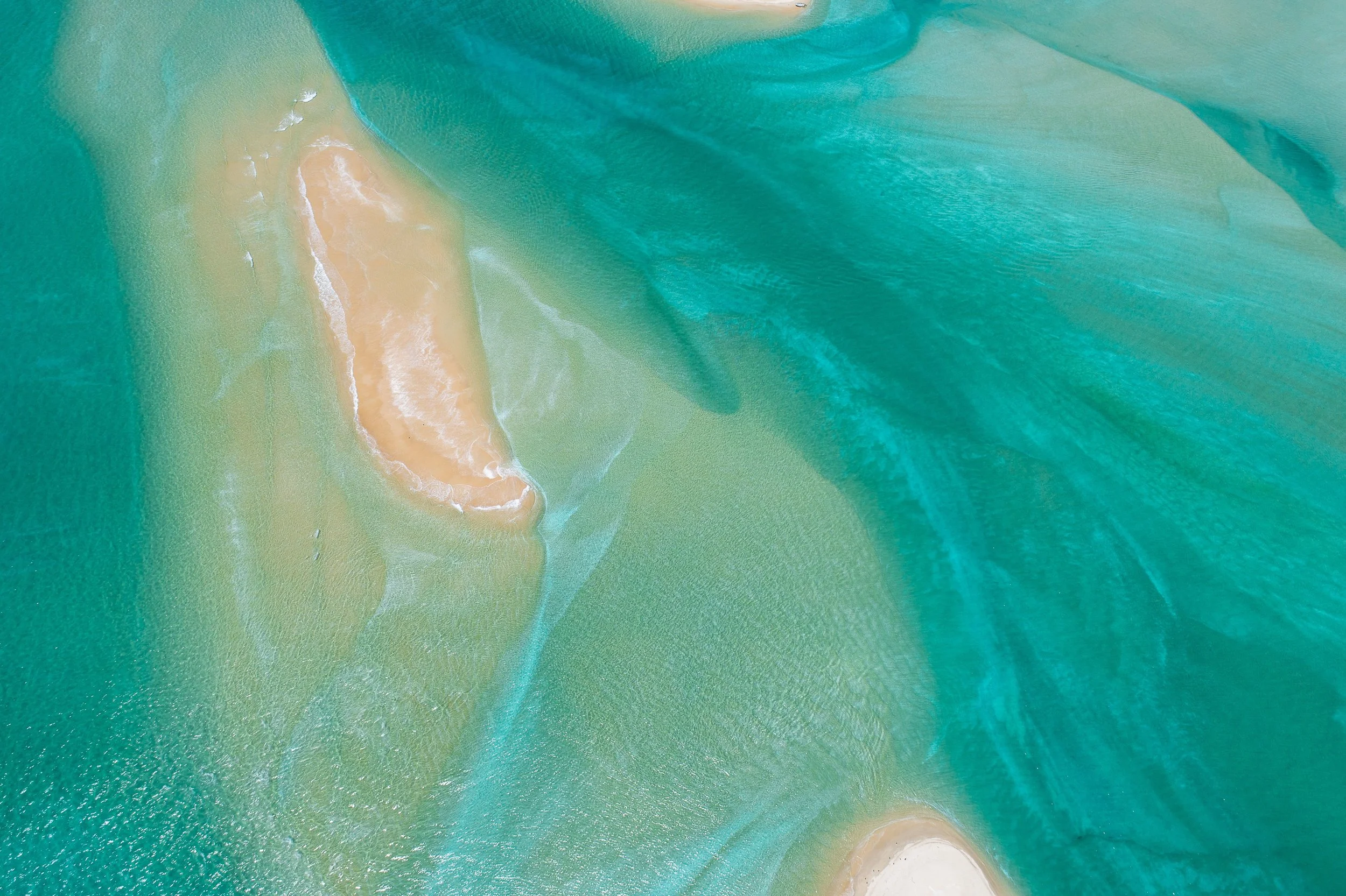 Awaroa Blues small.jpg
