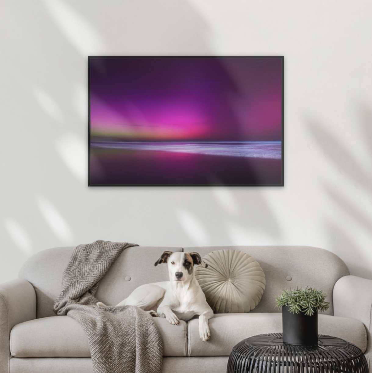 Spectacle in-situ