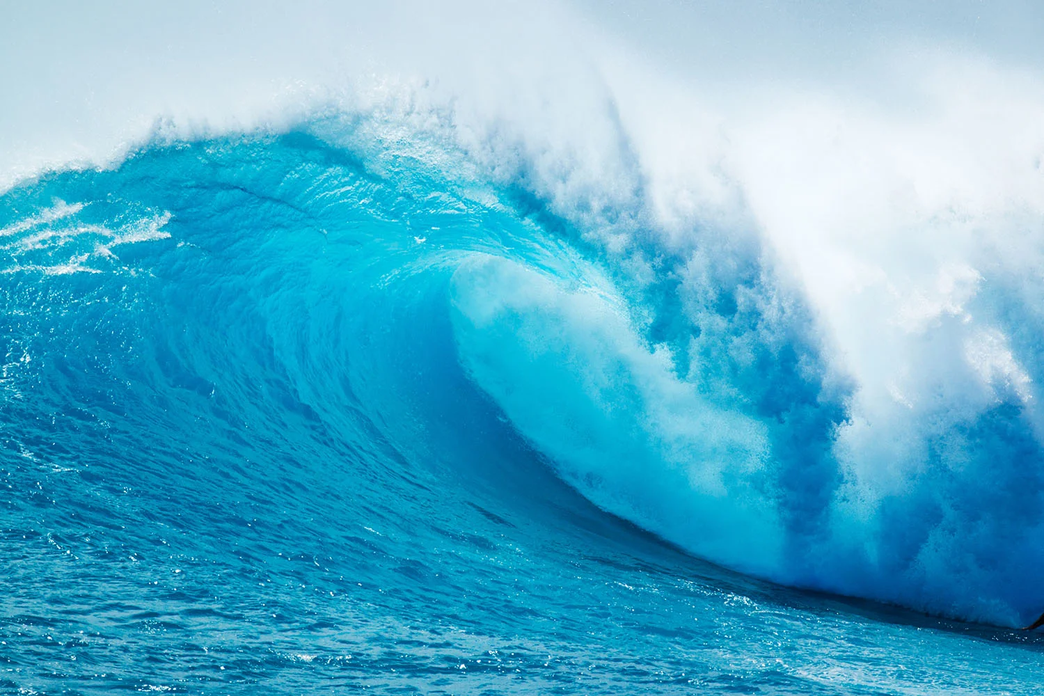 big rush marketing wave.jpg