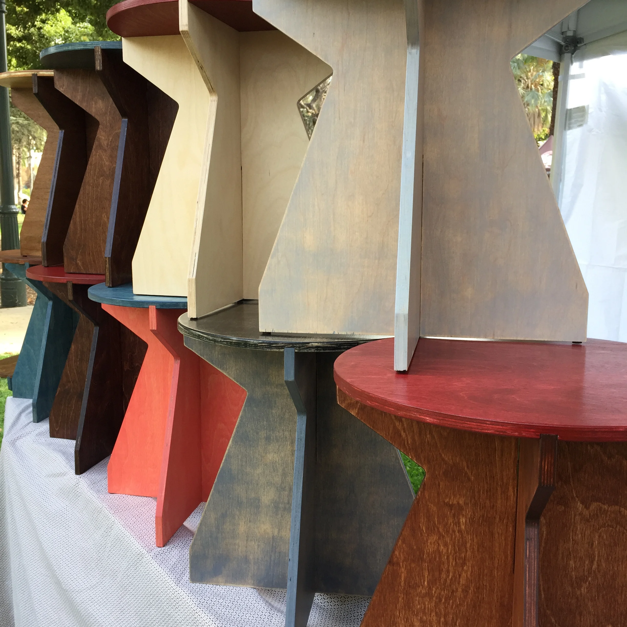 Mulitple Tulips .JPG