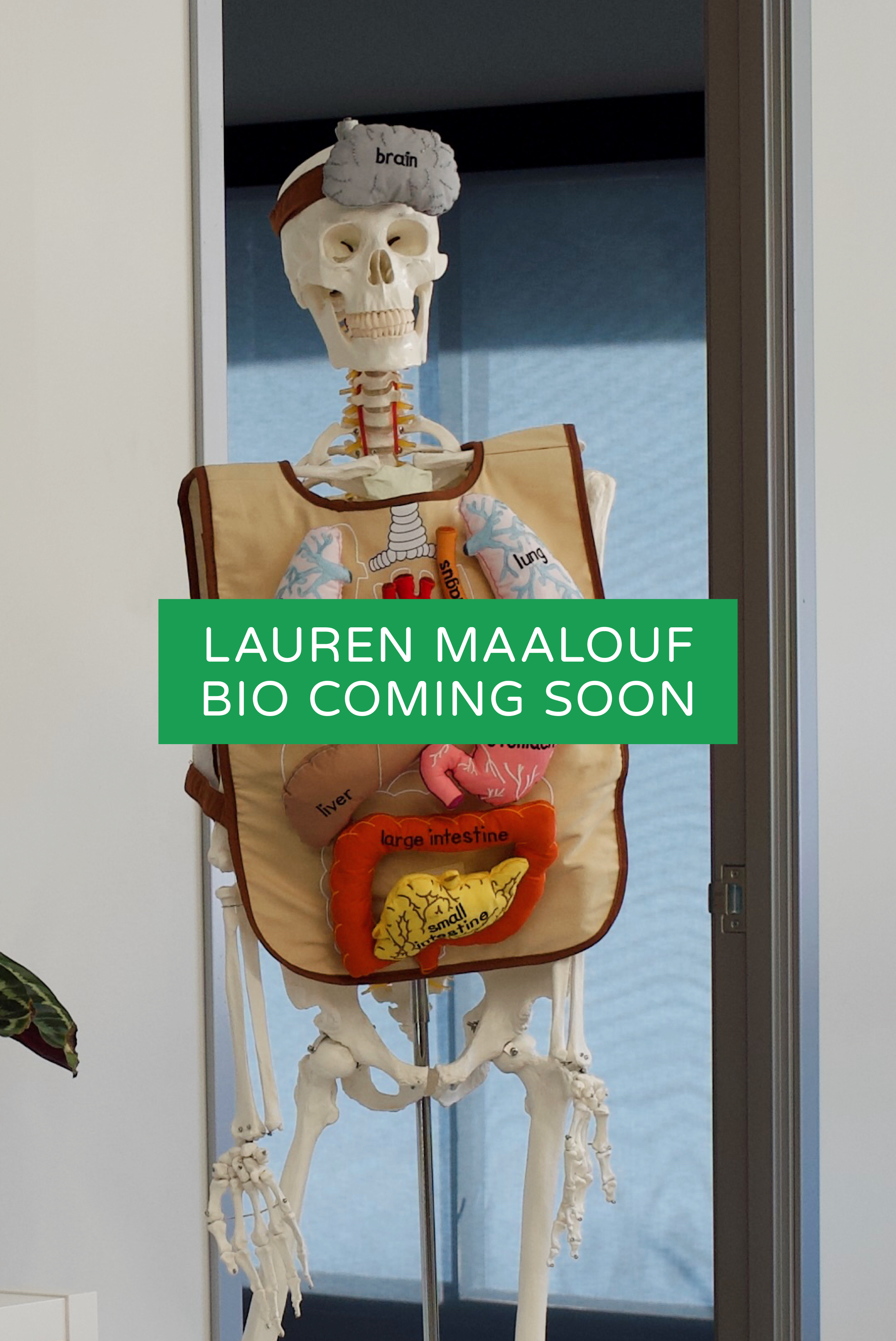 Lauren Maalouf