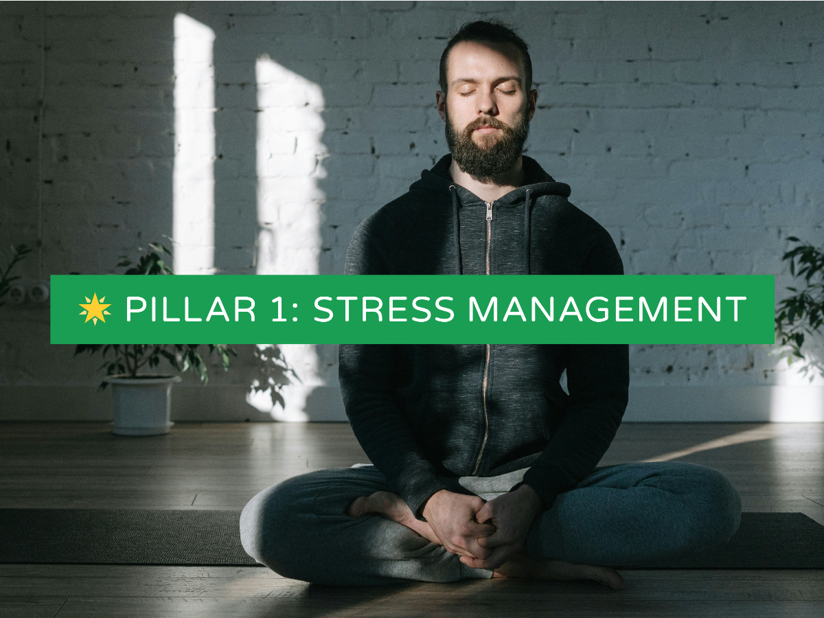 Pillar 1: Stress Management