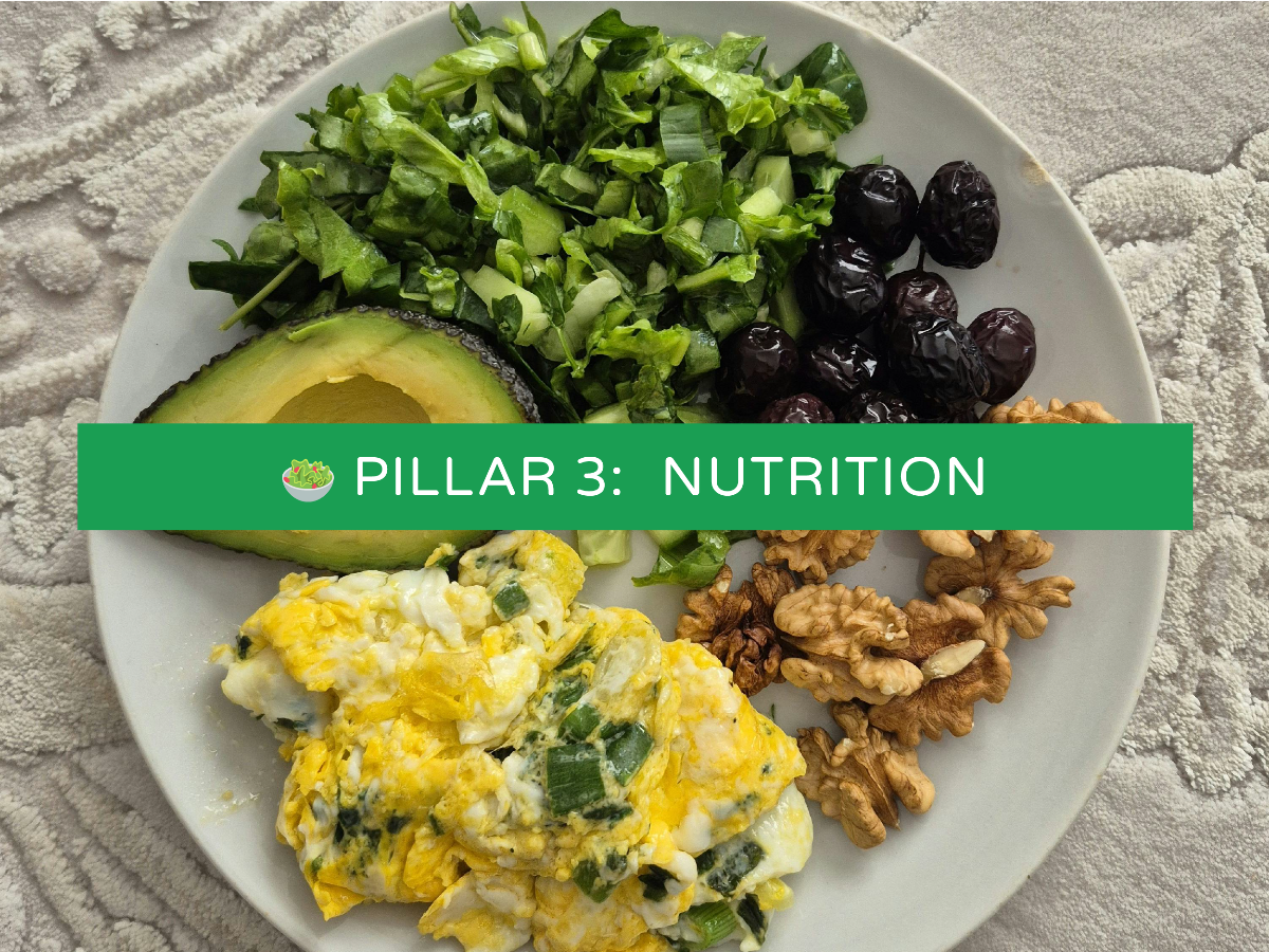 Pillar 3: Nutrition