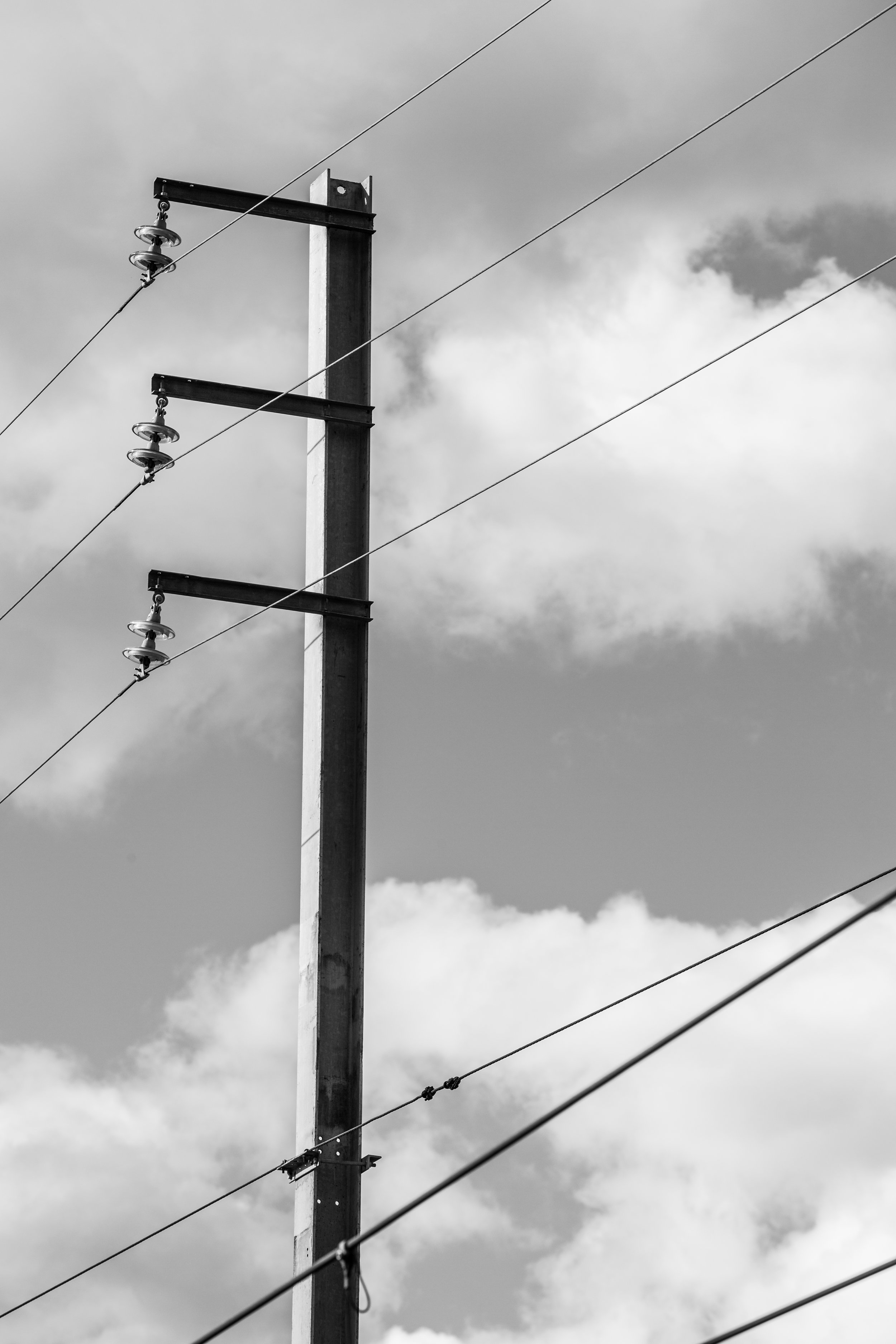 6L0A0611.jpg