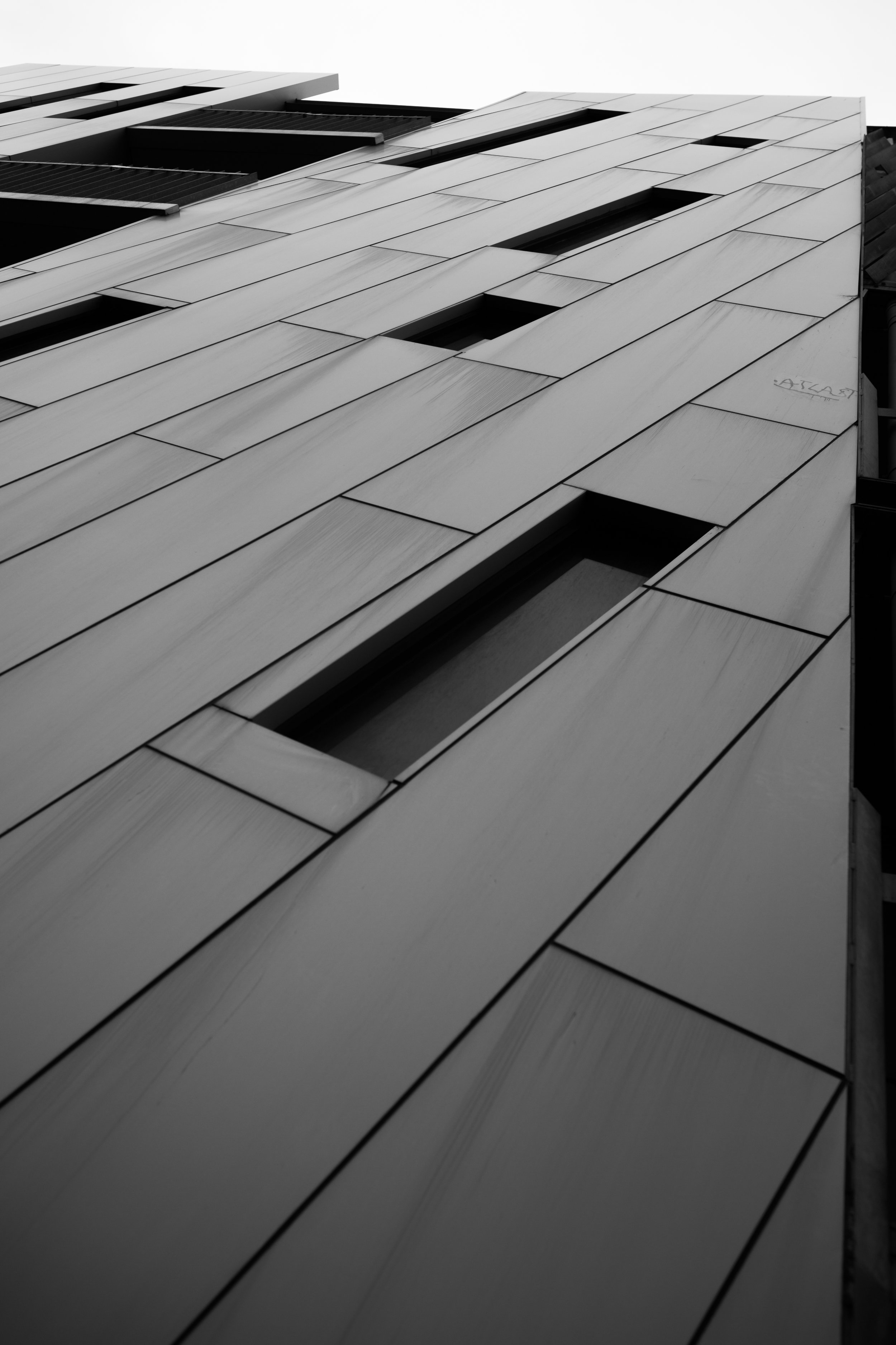 6L0A0319.jpg