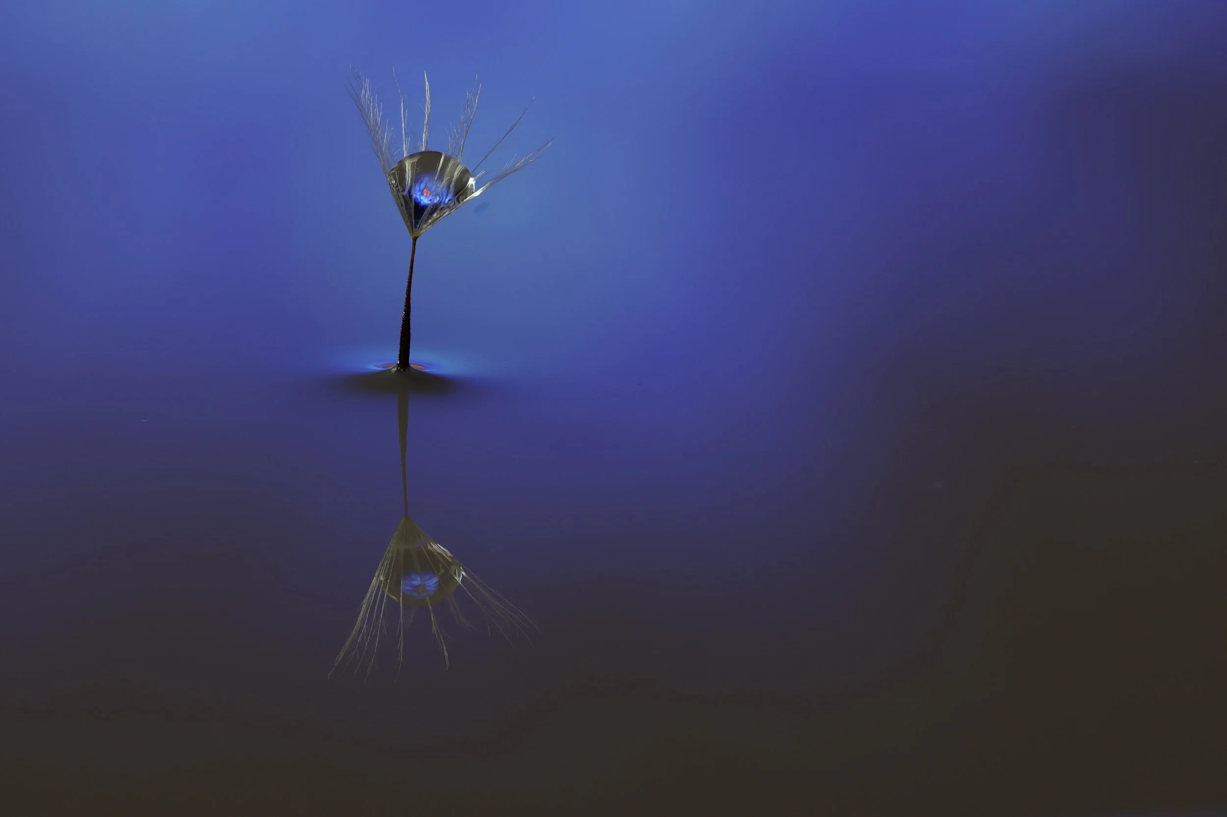 2022-02-12 18-13-45 (B,Radius8,Smoothing6).jpeg