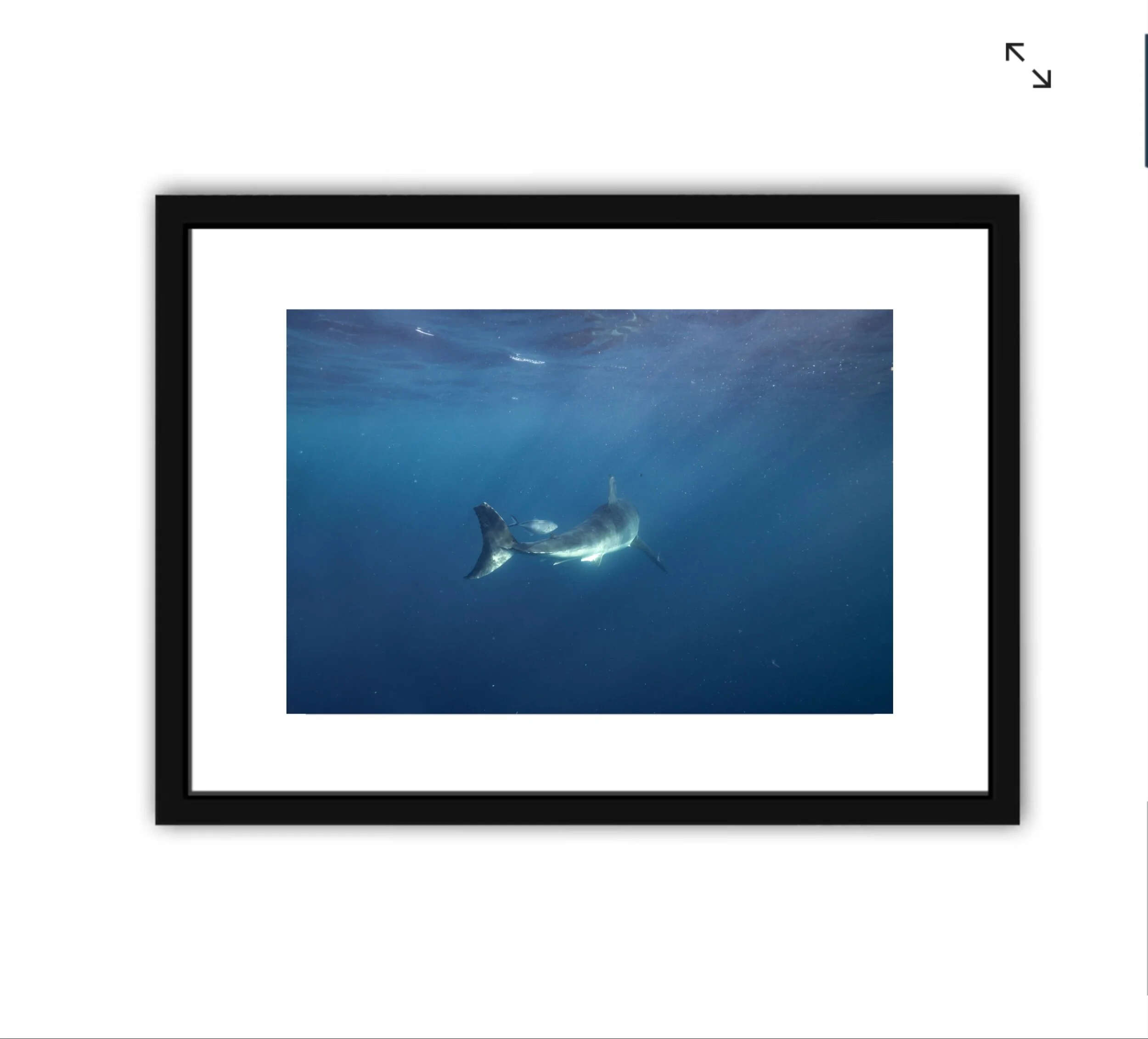 7CA88653-73DF-4C68-99CB-1F368CA8C114