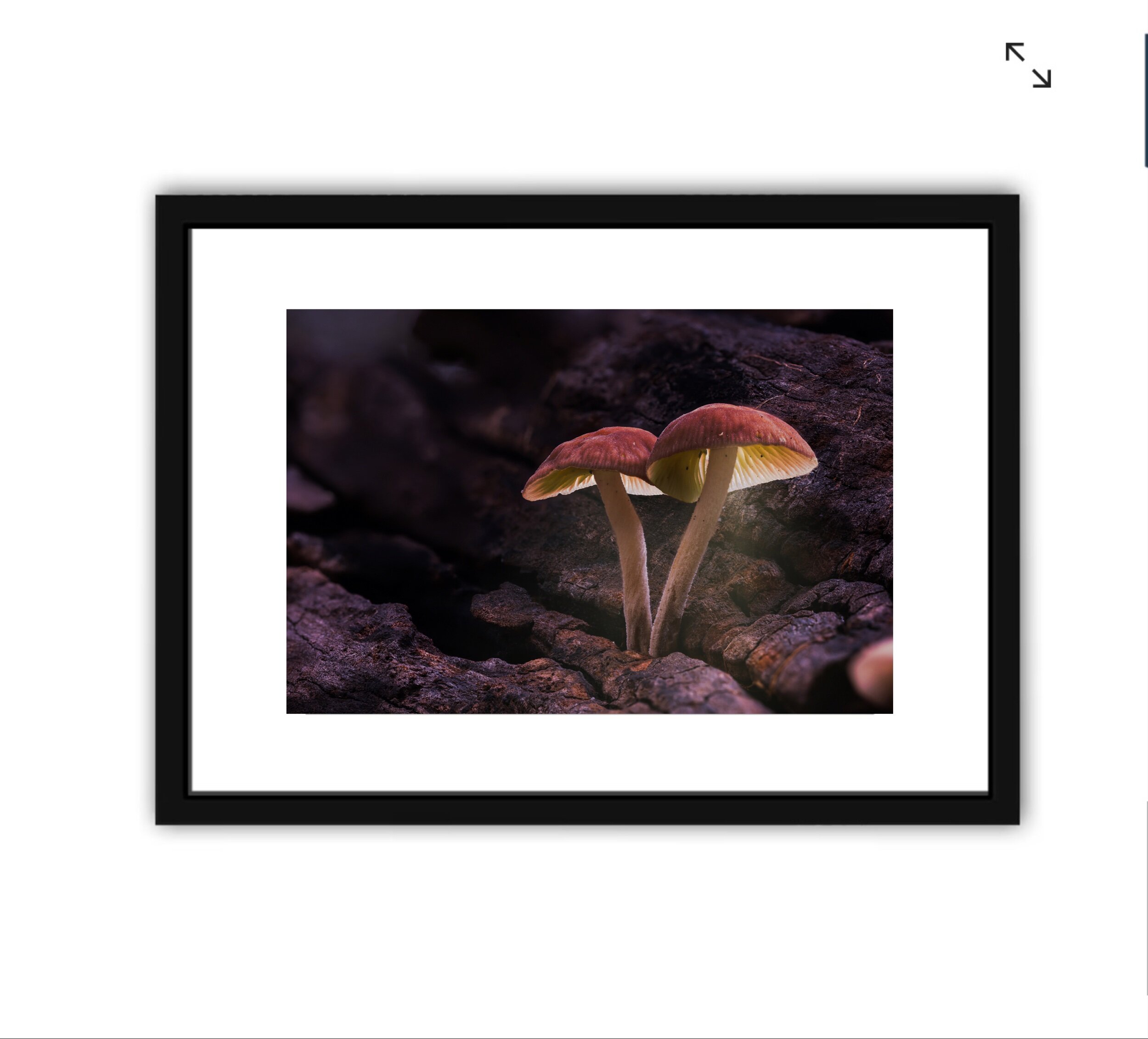 17537D56-D44E-47A3-943A-85300DB8F2B6