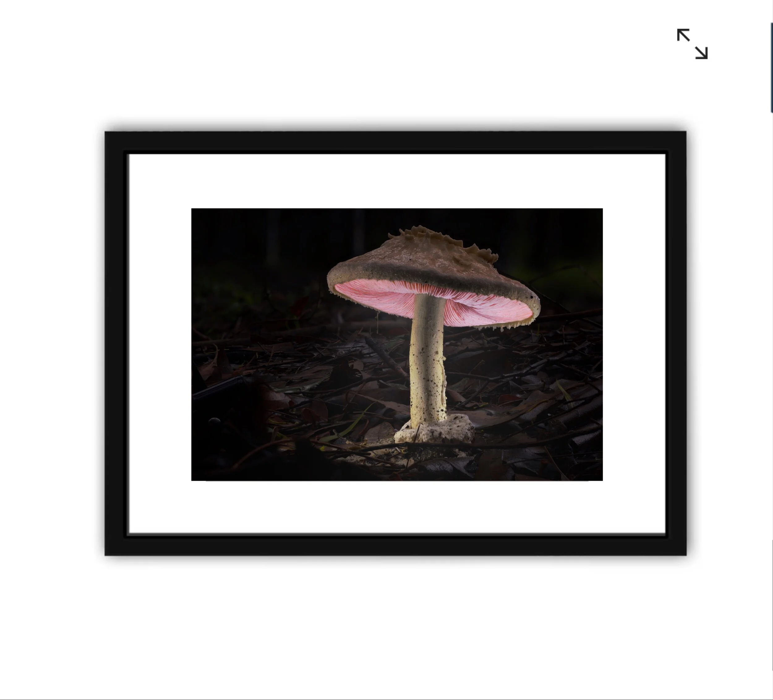 6AA72801-5739-4586-92F5-40F1D45DFB53