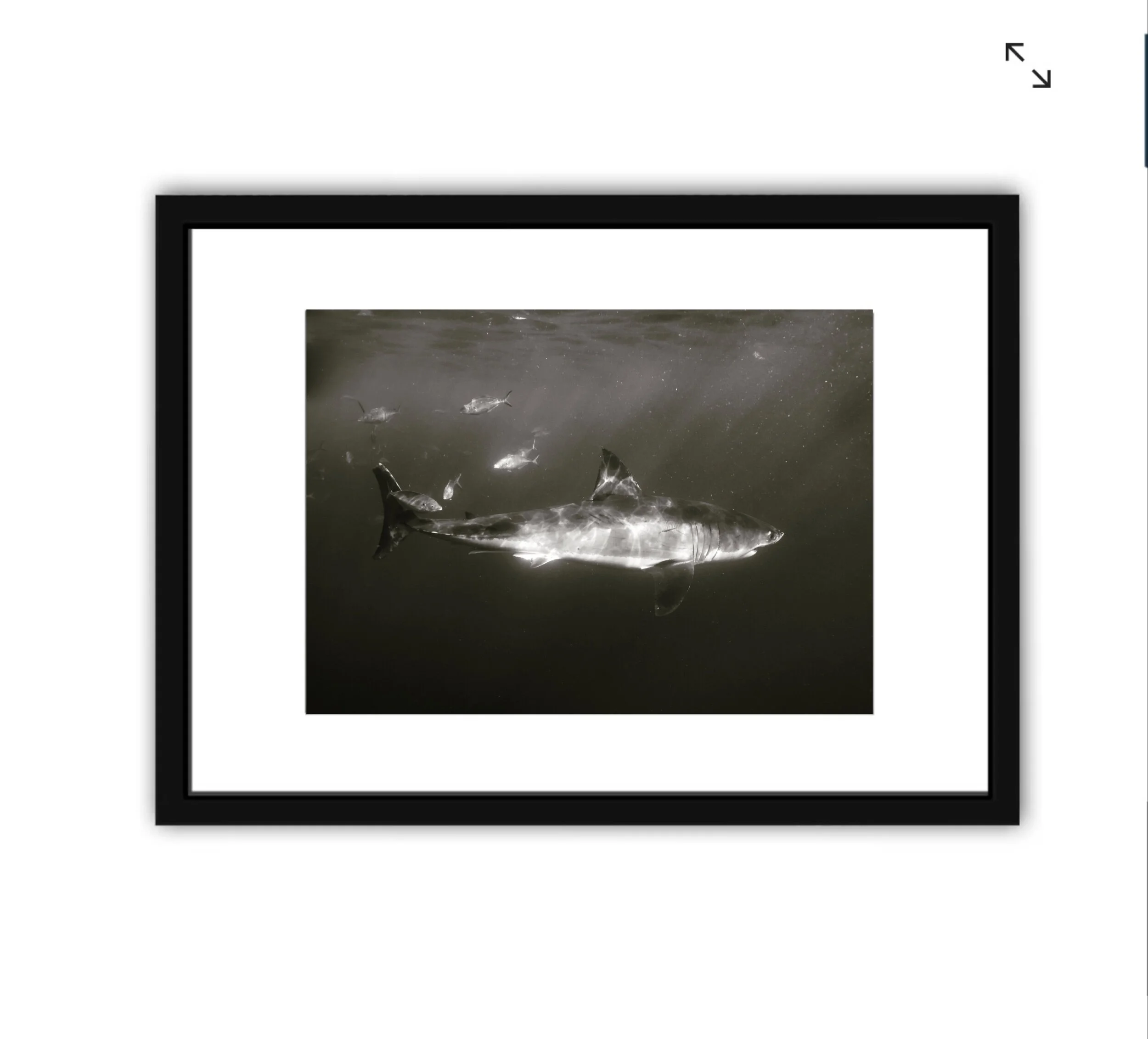 2CEC6B62-3145-4CF1-87BF-47AA83CE6AAA