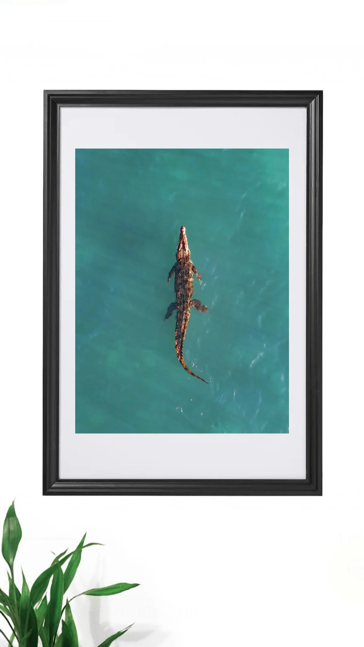 CAED74E1-A826-450C-A869-1744C708B40B