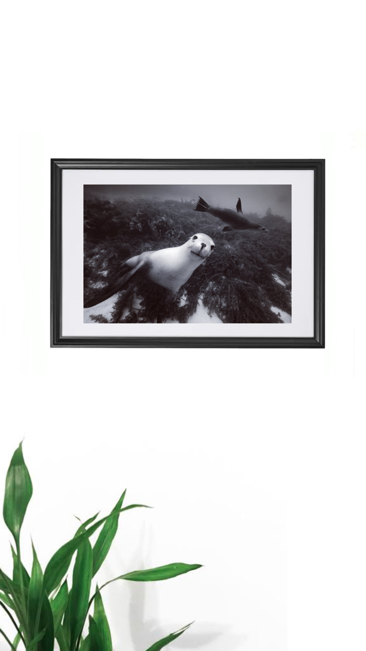 498B7EAB-A7E4-4B29-BDF5-923AAE4E438D