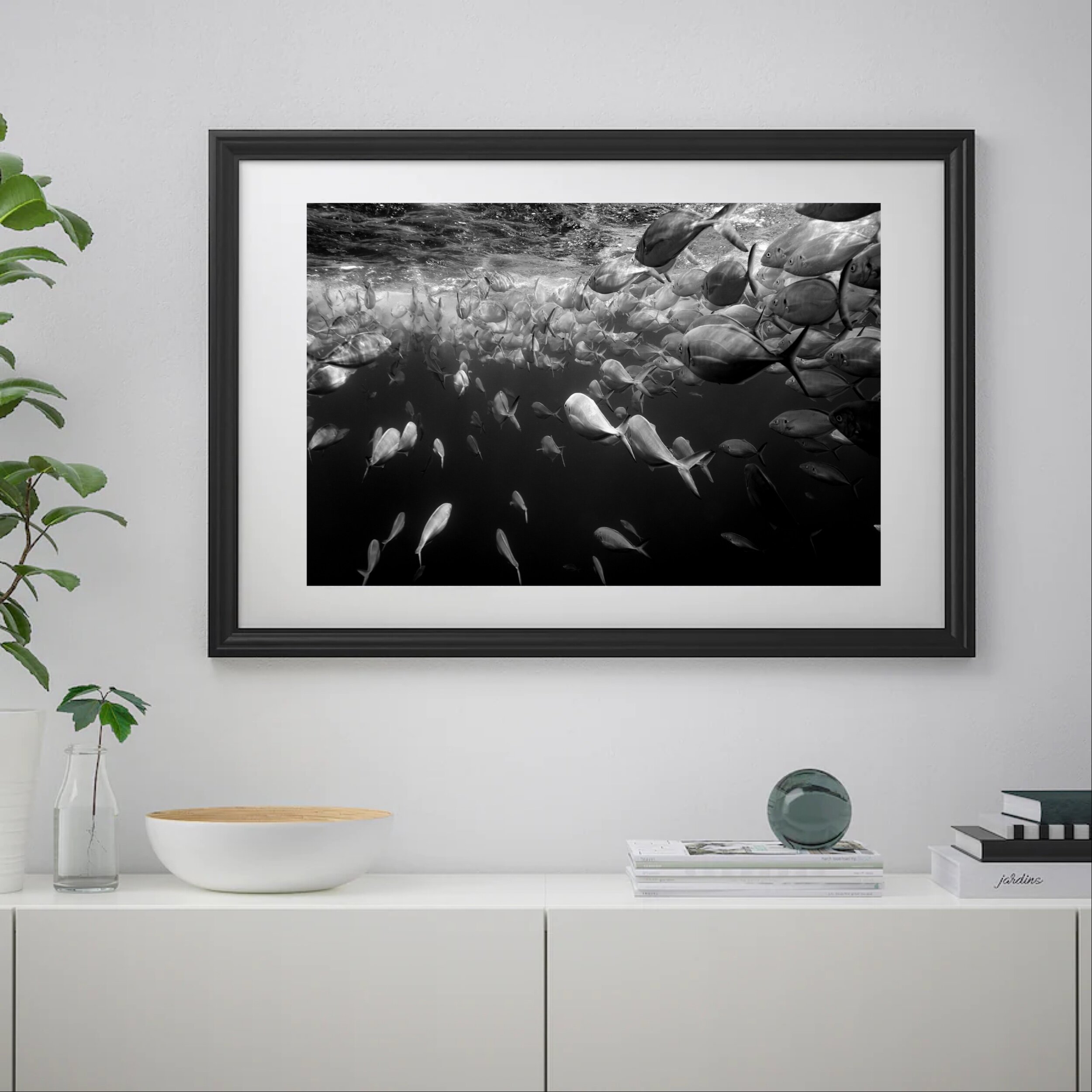 BED1E2AC-DC1B-40D1-96AD-D4E696EF2313