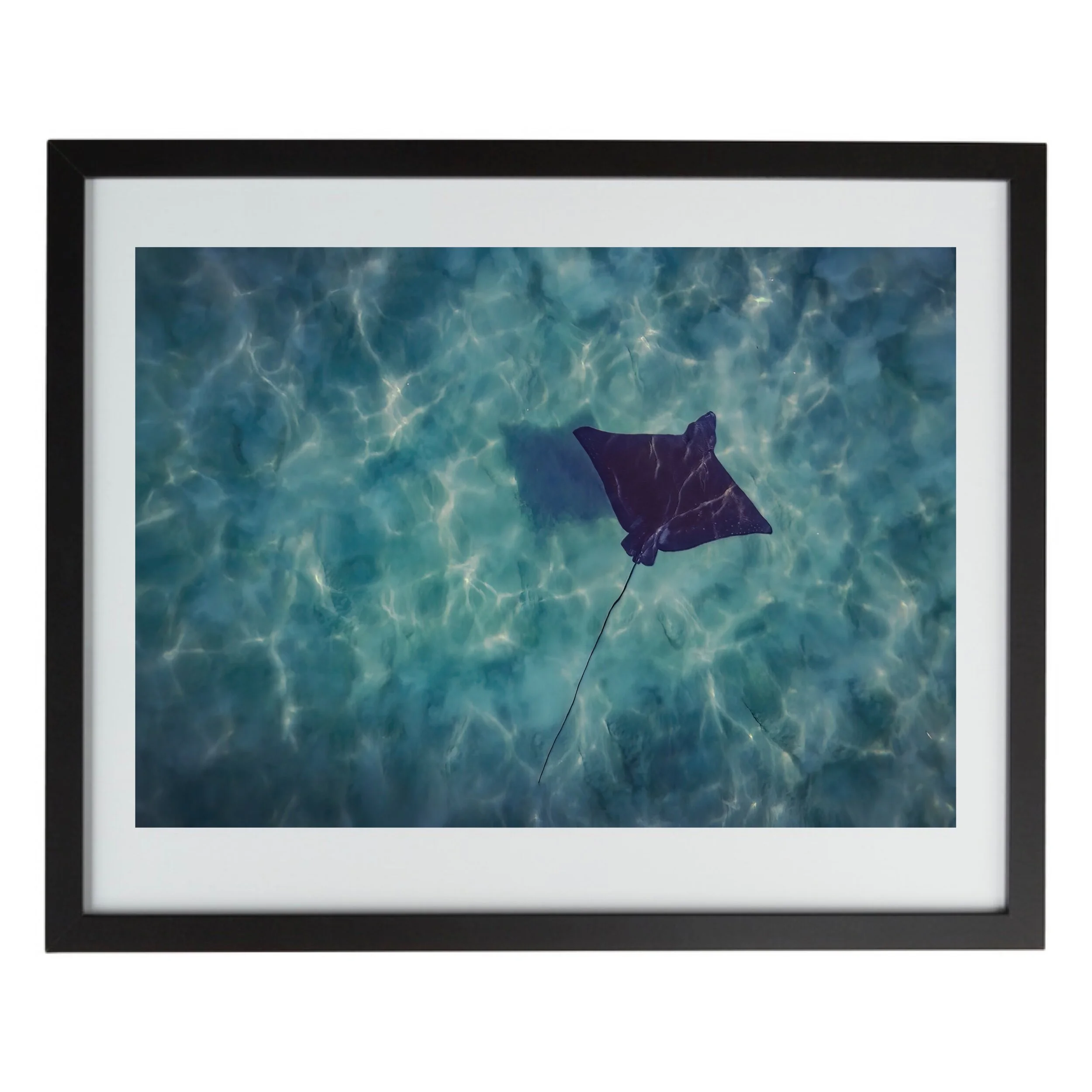 FE5FBC5D-D418-436E-BB67-2DE40FE51C87