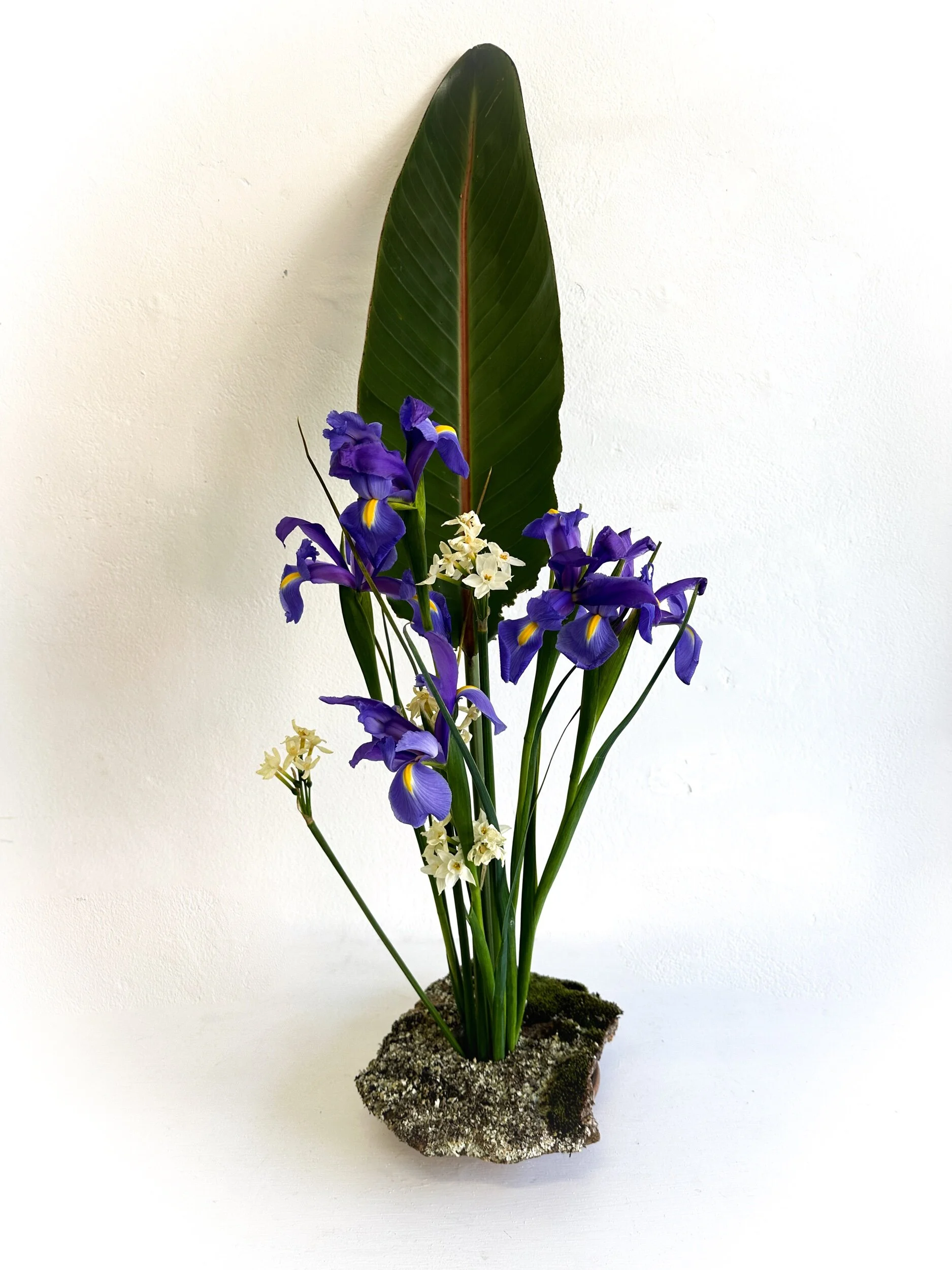 82362EDF-EC67-4B5C-B996-D89E9FF5DEFC