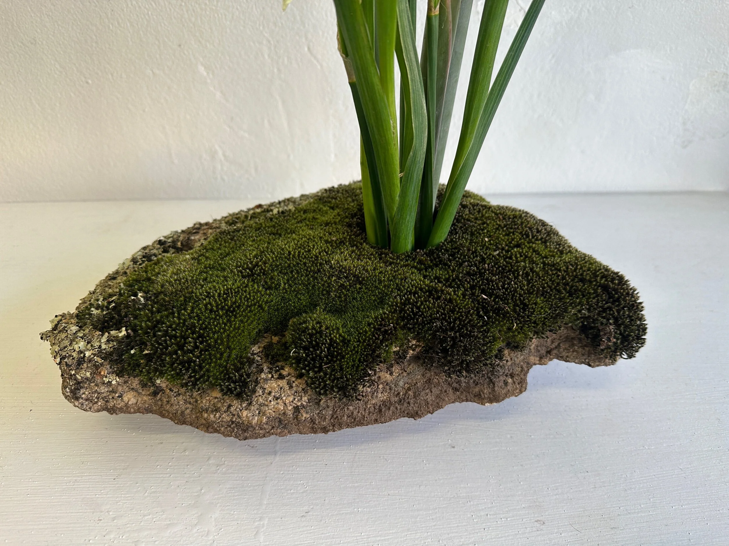 F6CF631A-0903-40CD-92F4-B12E31857C5B