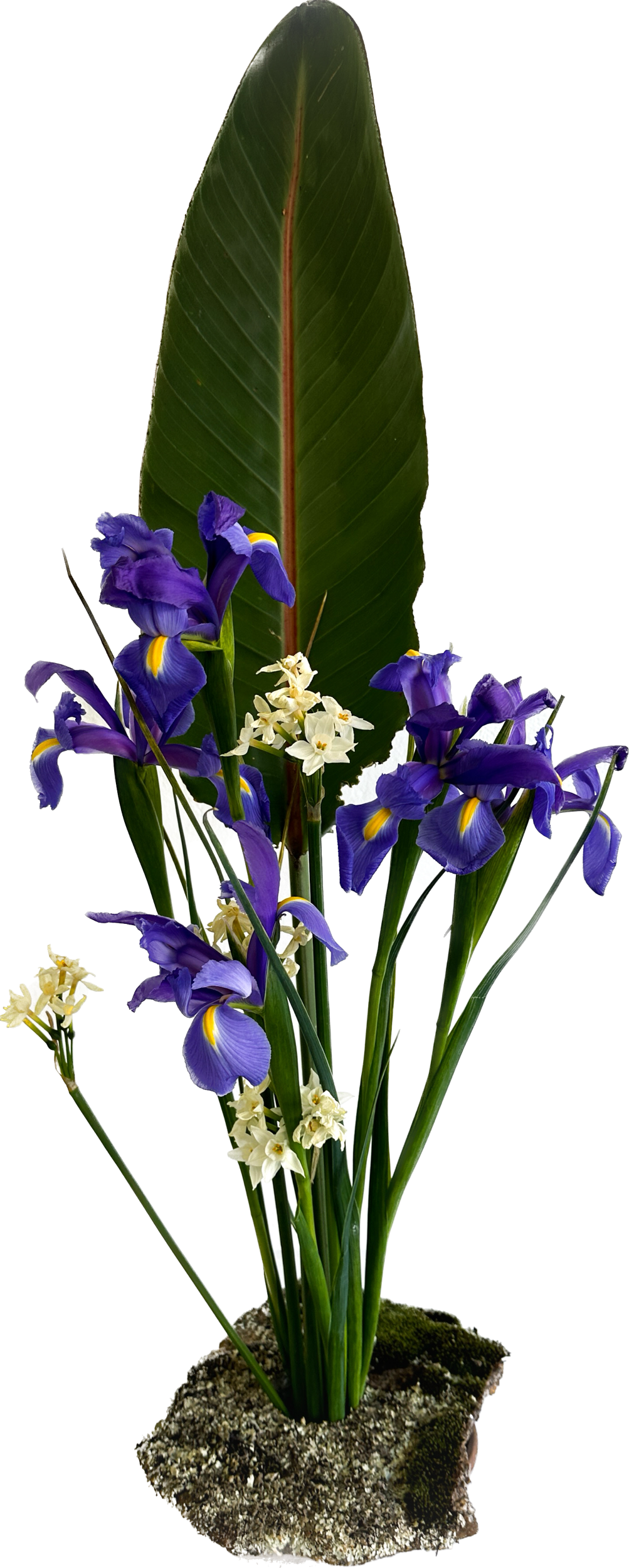 442A7605-1972-4C3B-B21F-5F34CA798F9D