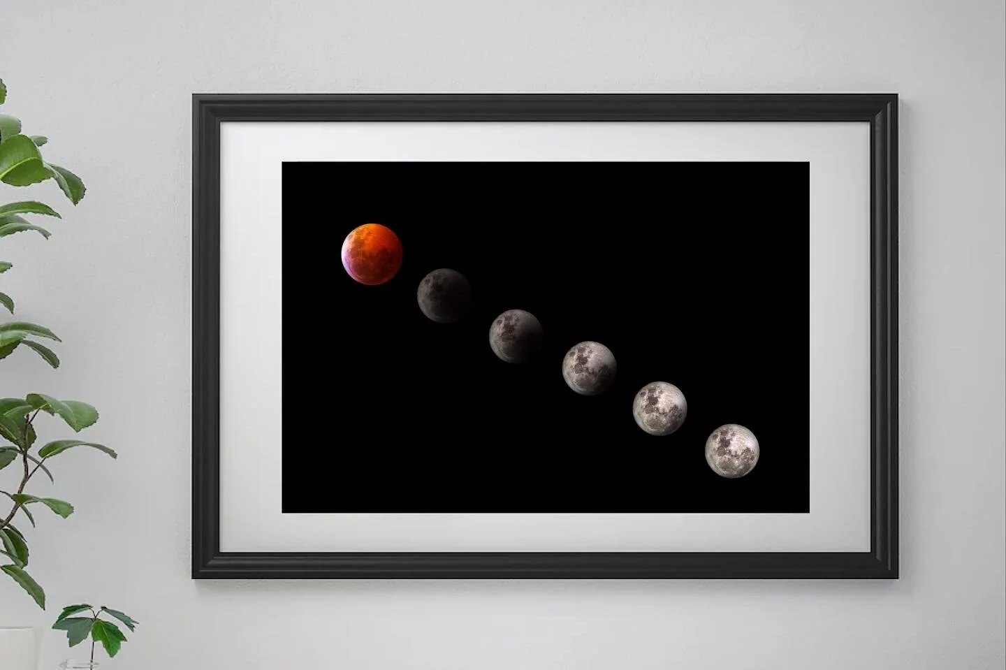 2A5DE768-C96A-4151-971F-46E1C05102E2