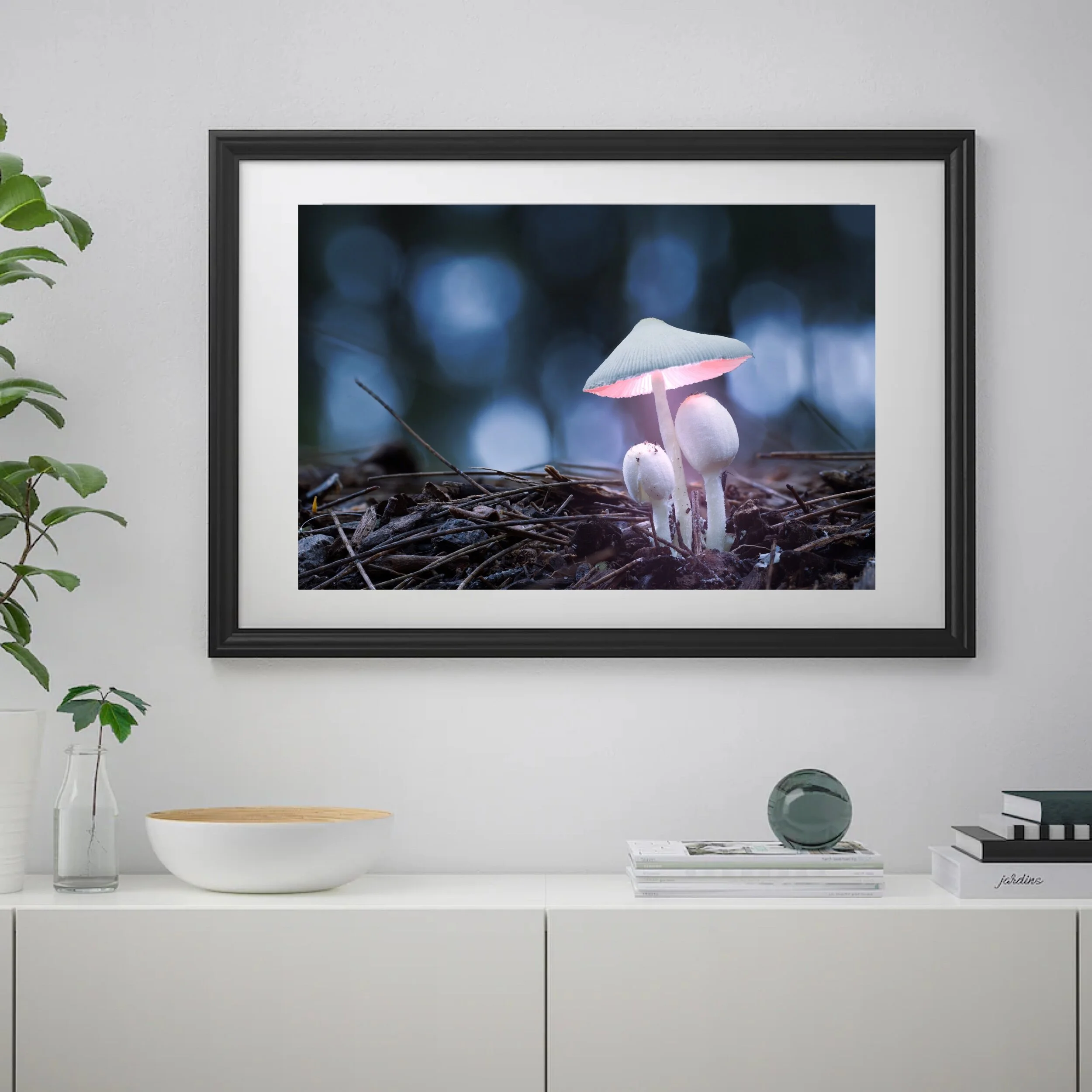 214C5AD8-6A76-4AC6-974A-D936C749B821