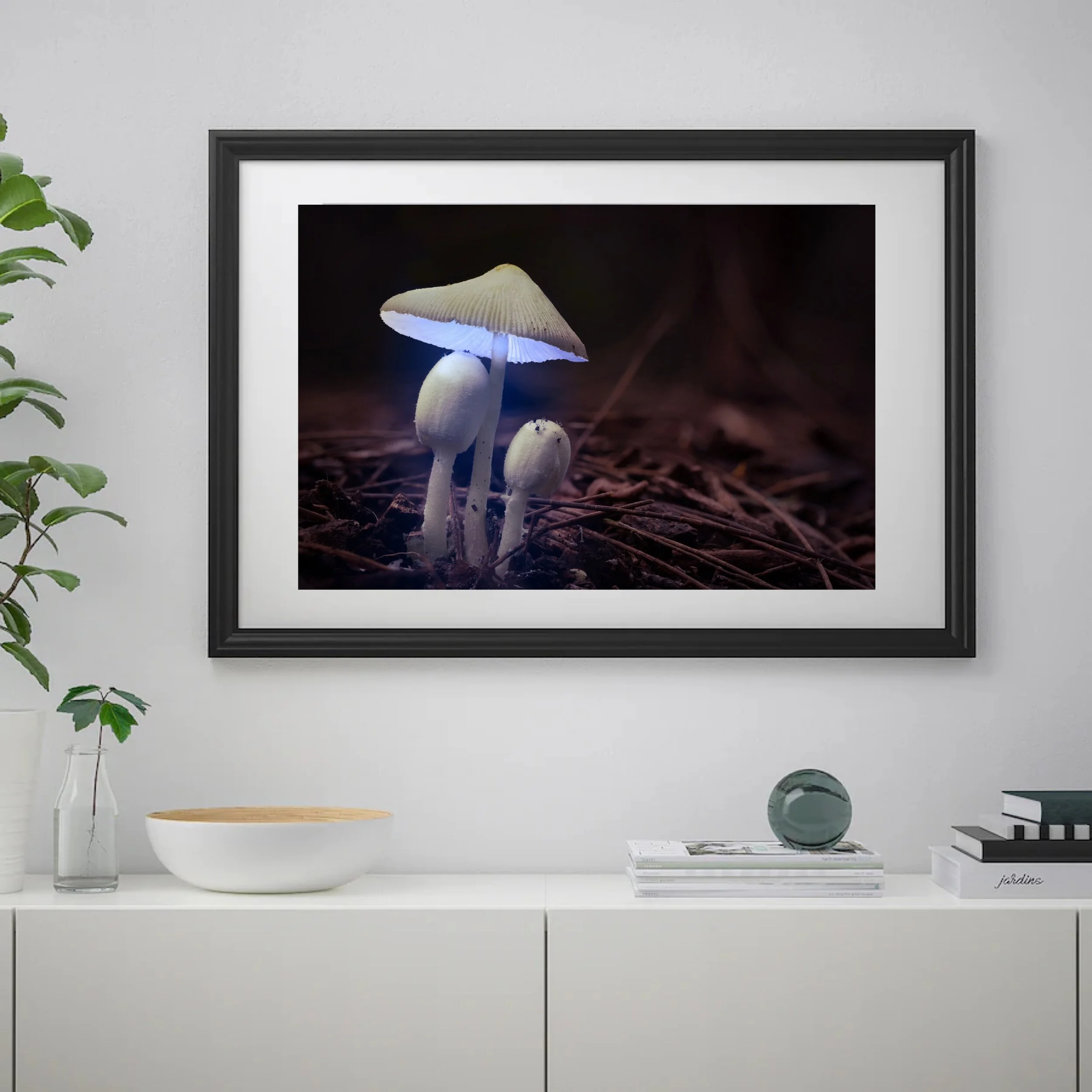 63BD394C-DB95-4AD1-89B3-71BFAE9F1632