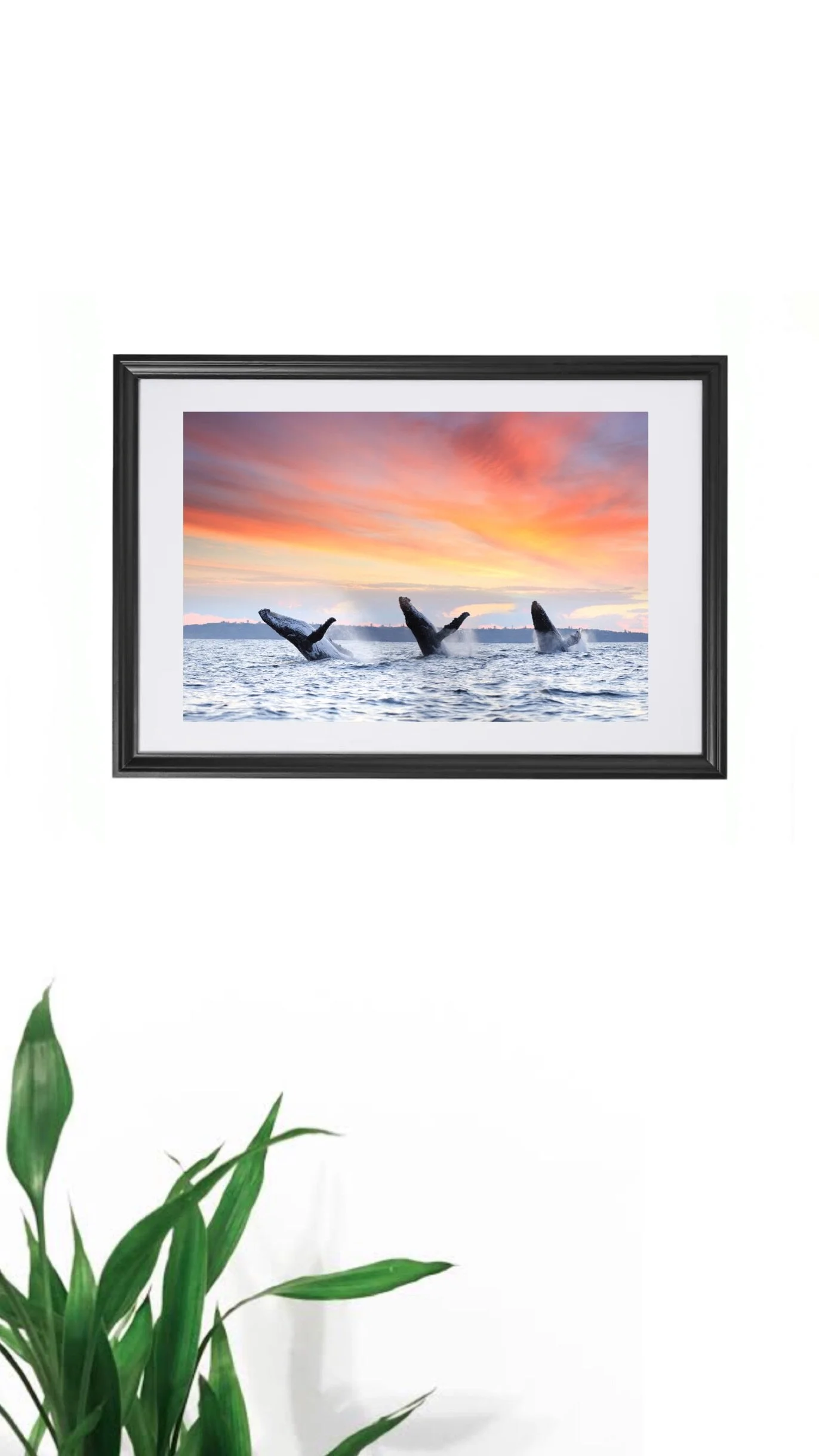 12000C47-AA52-4AEE-AA55-00A5025BD240