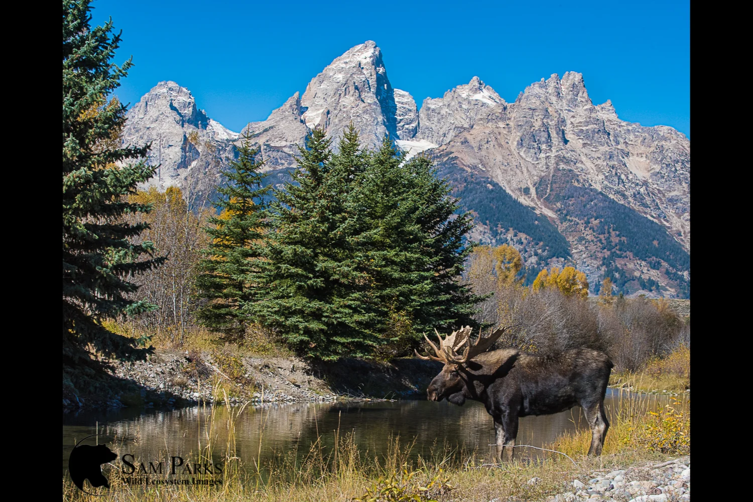 Teton_Fall.jpg
