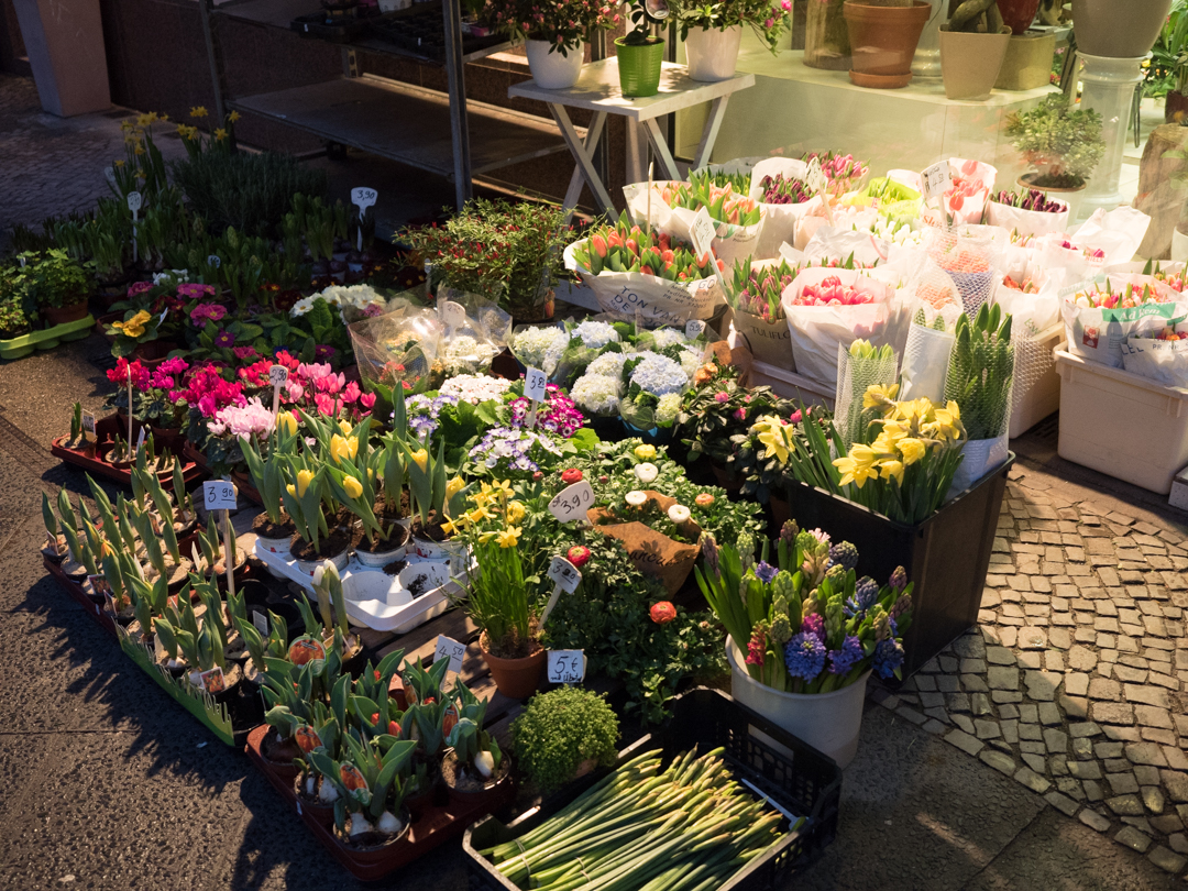 blommor.jpg