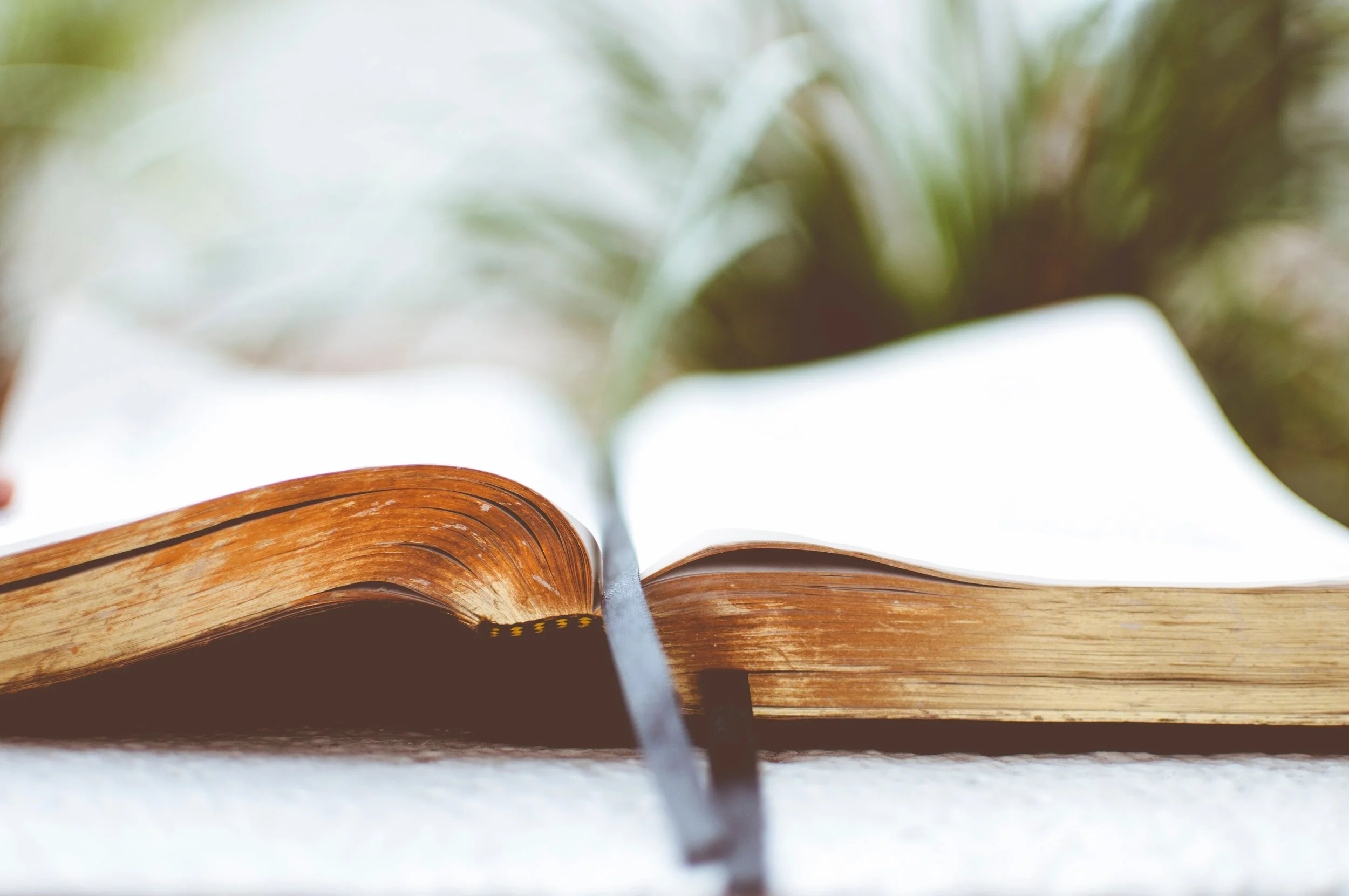 Foto: Unsplash.