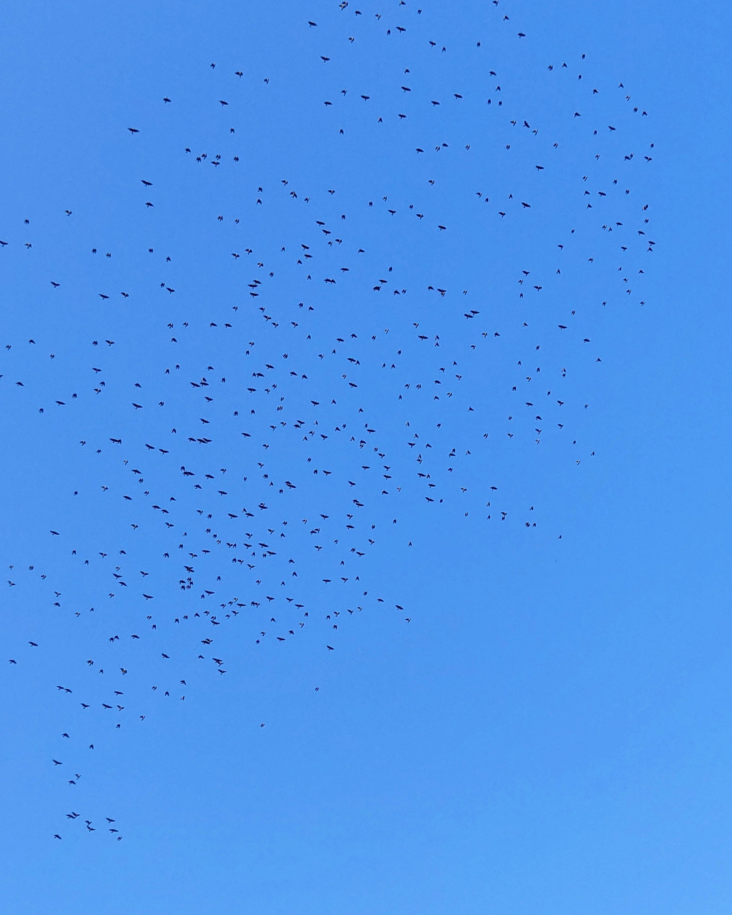 upload.jpg