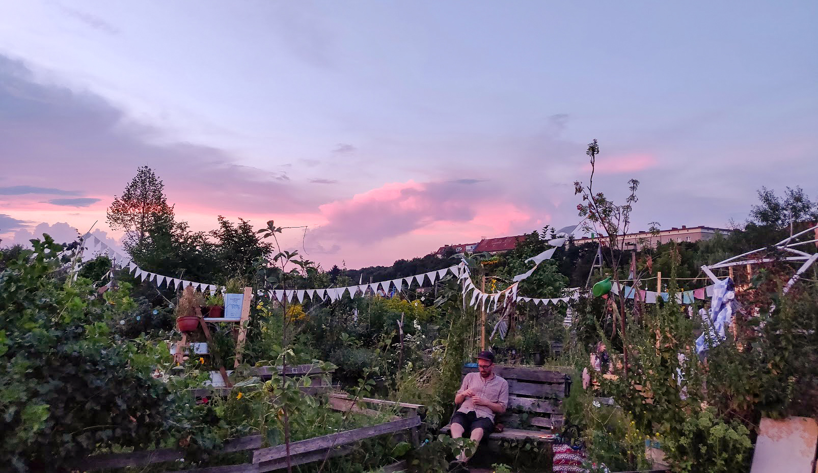 Den lilla knasiga trädgården på Tempelhof.