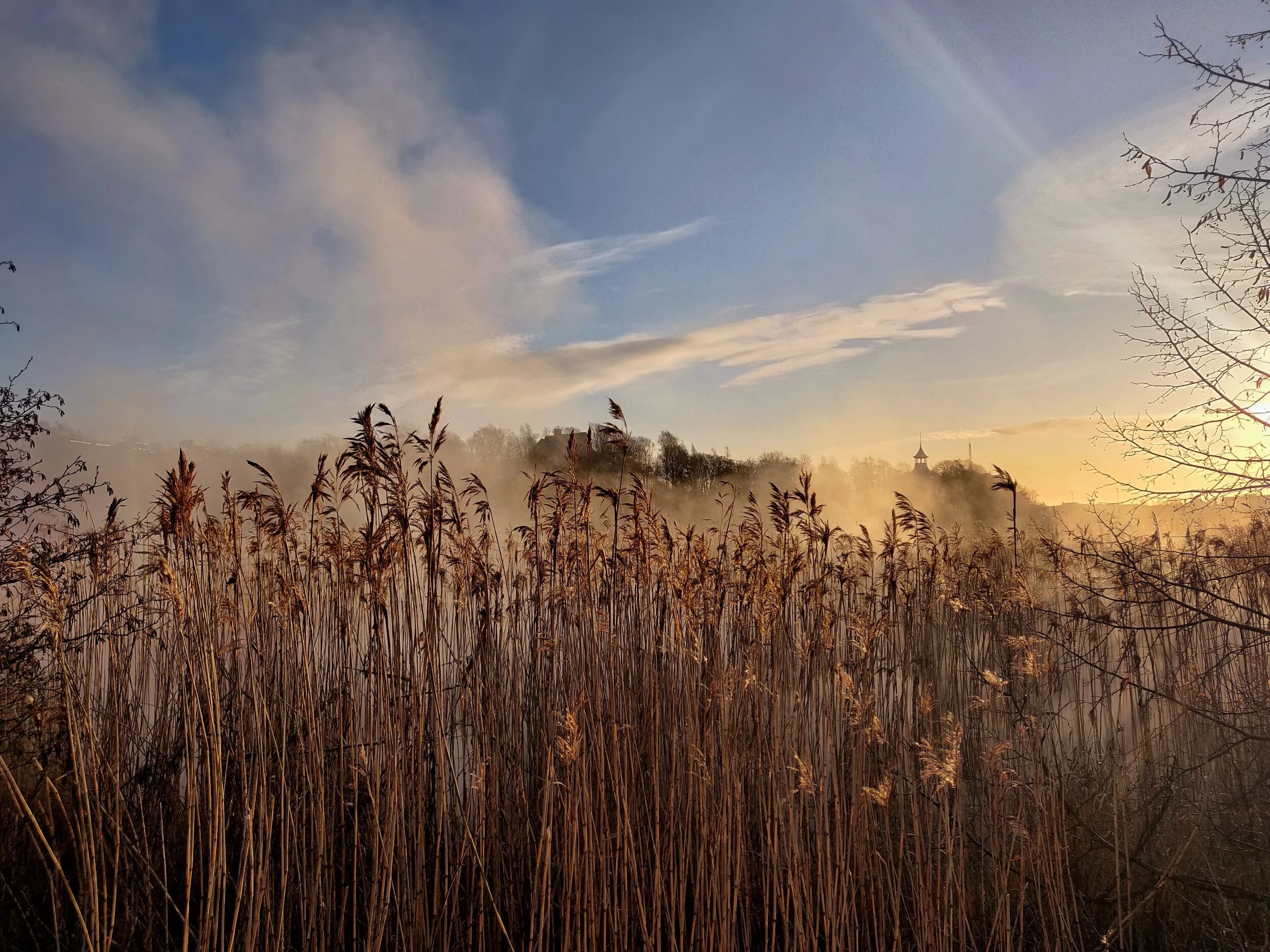 Magisk stund vid Tölöviken förra veckan.