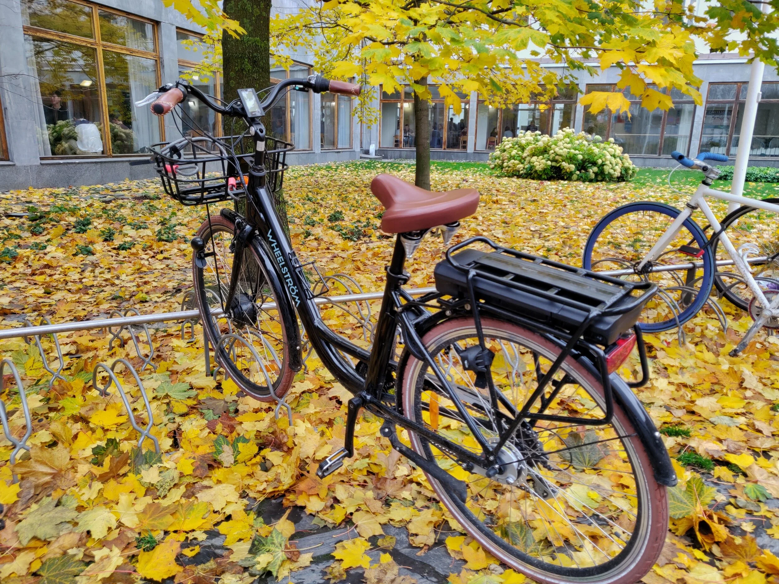 Min älskling! <3 Som nån hade försökt stjäla, men lyckligtvis inte lyckats!