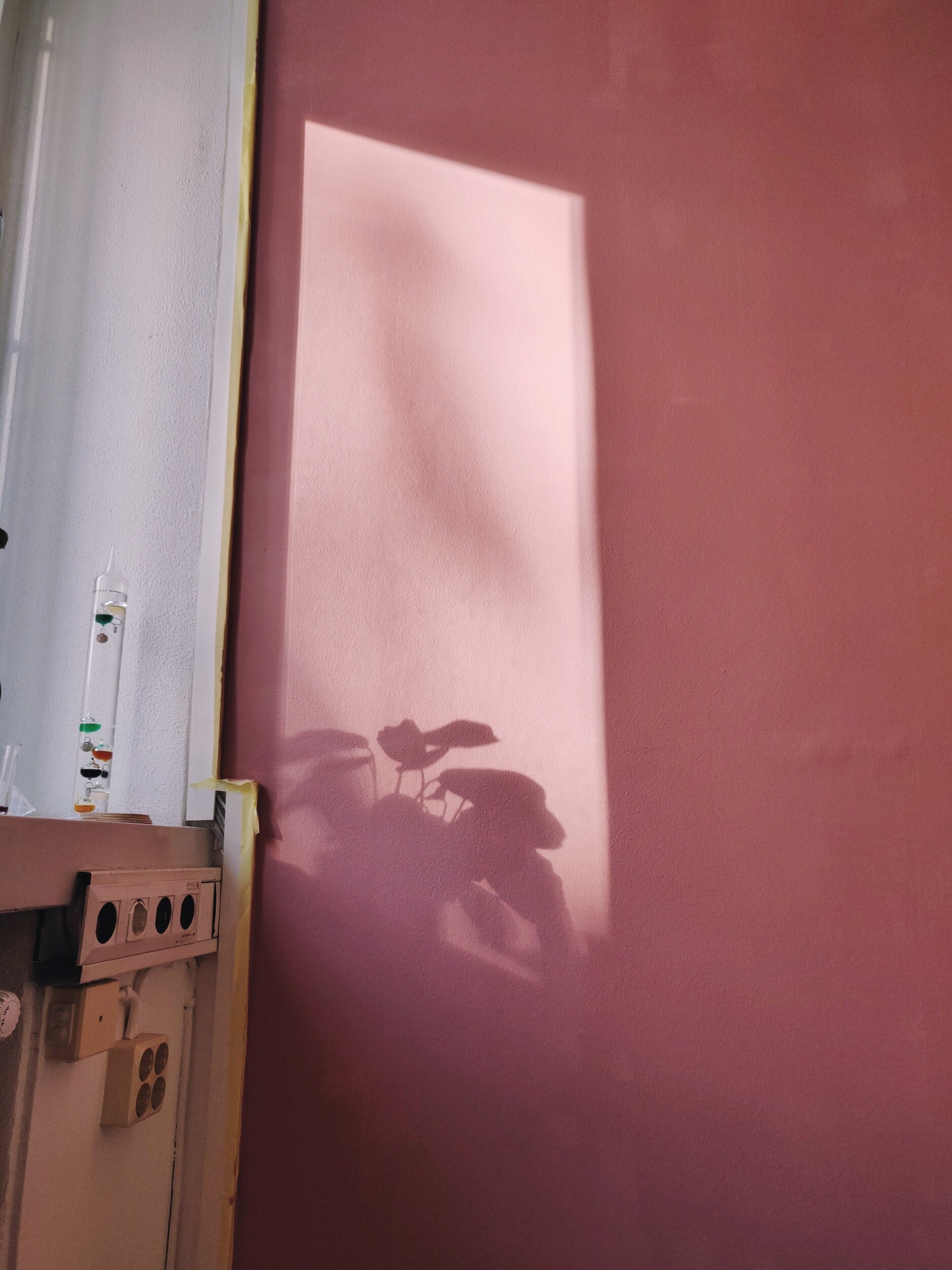 Nymålad vägg i kvällssol.