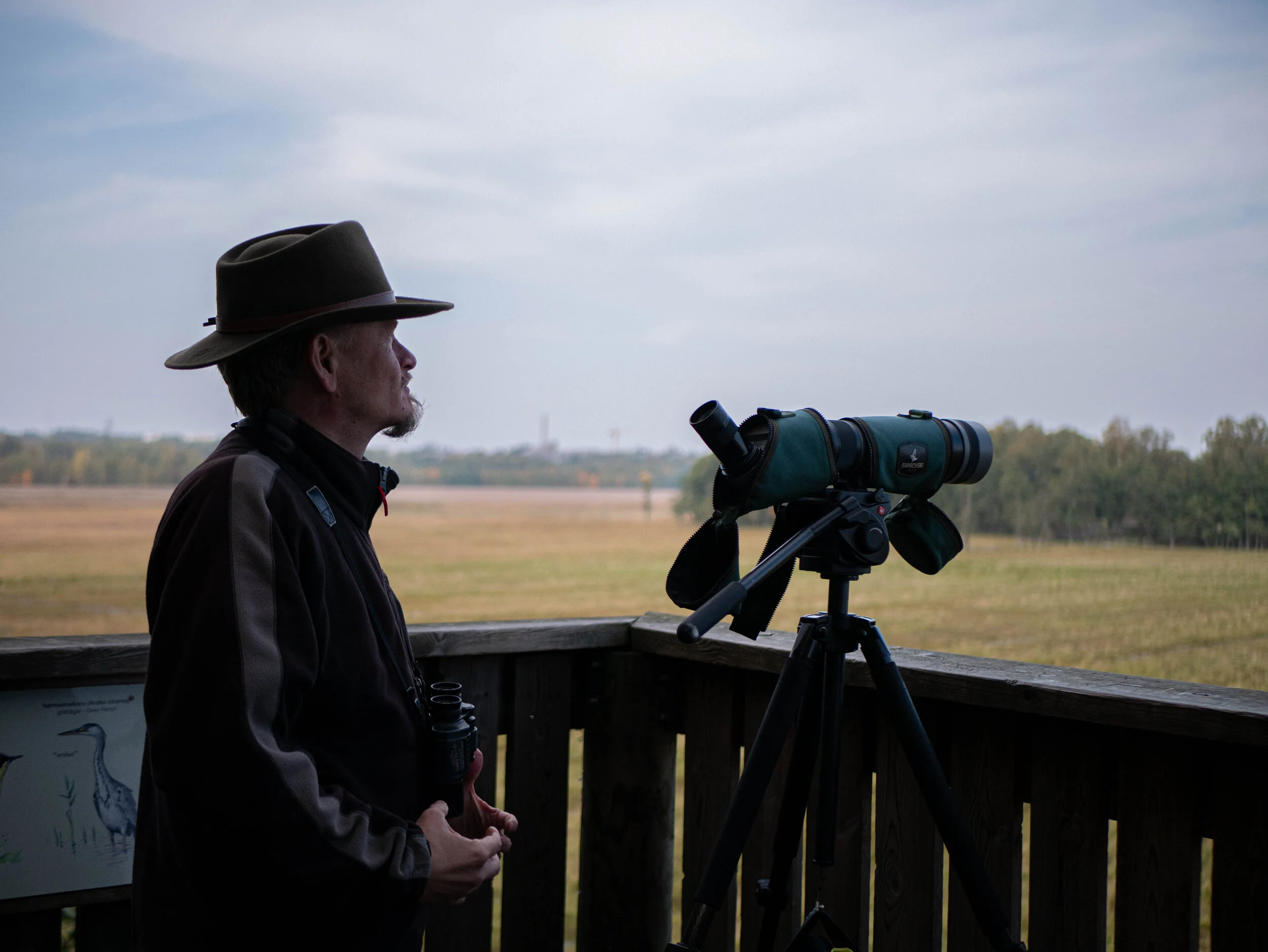 lammassaari-7.jpg