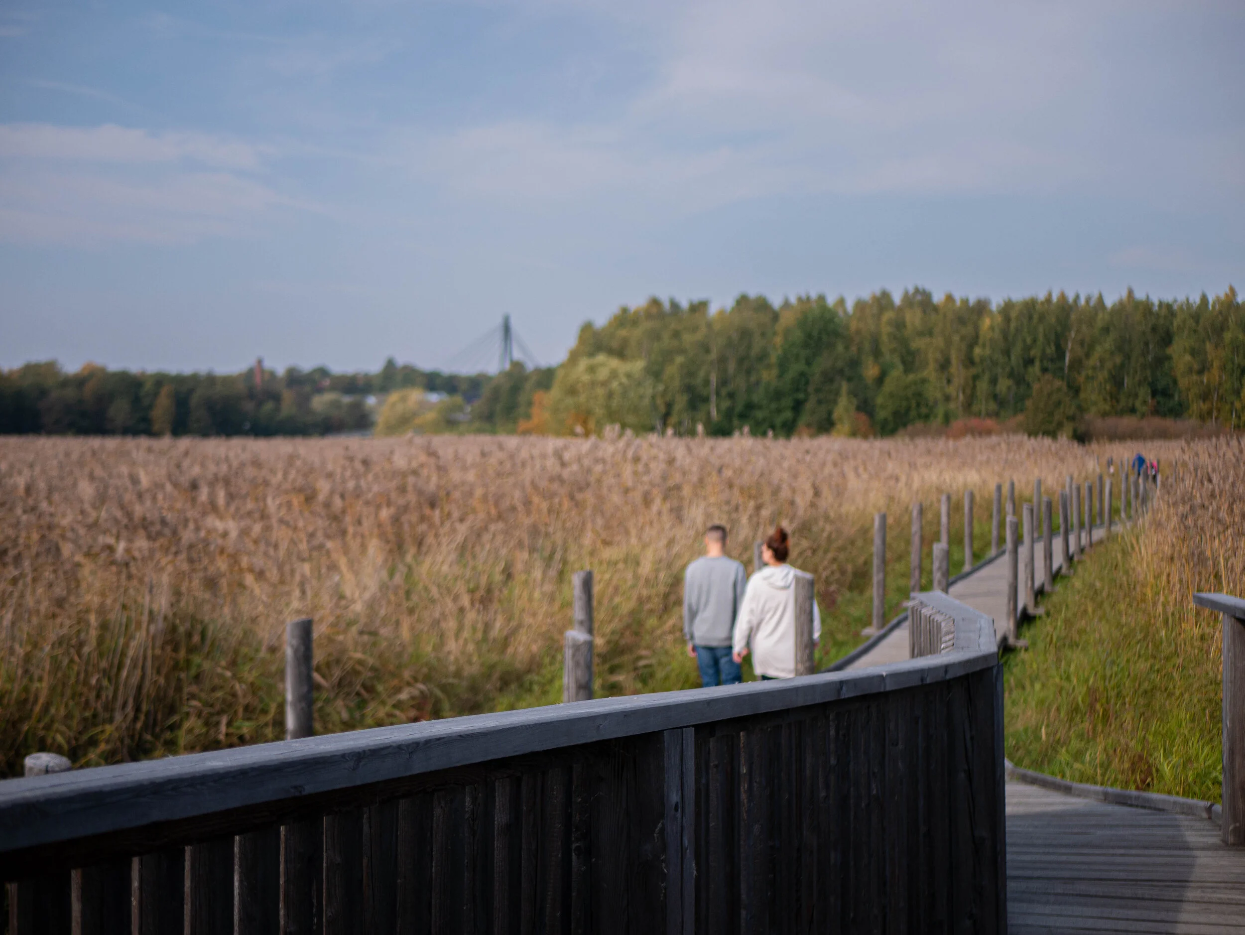 lammassaari-4.jpg