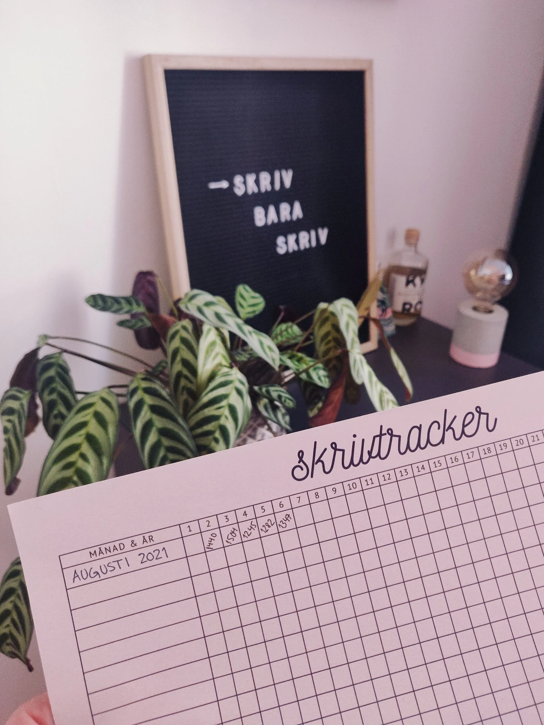 Jag har börjat använda mig av skrivtrackern som kommer med min skrivbok. I stället för att kryssa i en dag har jag skrivit upp hur många ord jag skrivit, genialt eller hur?