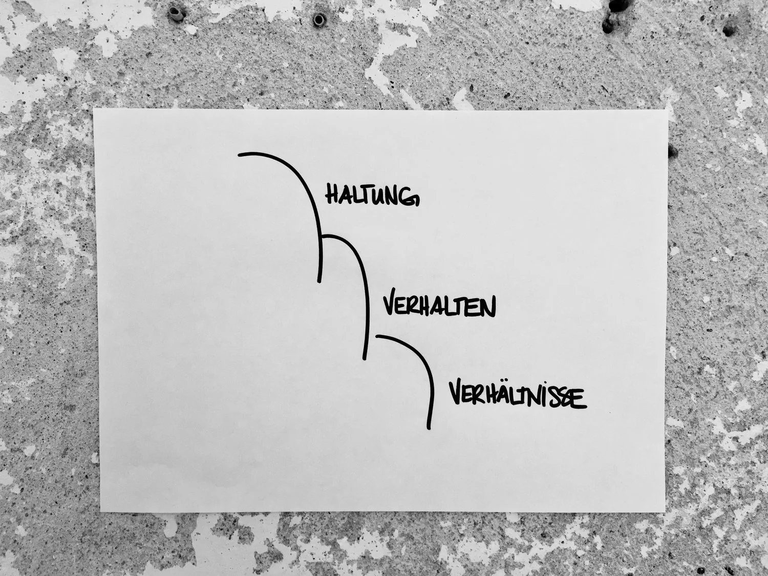 haltung.jpeg
