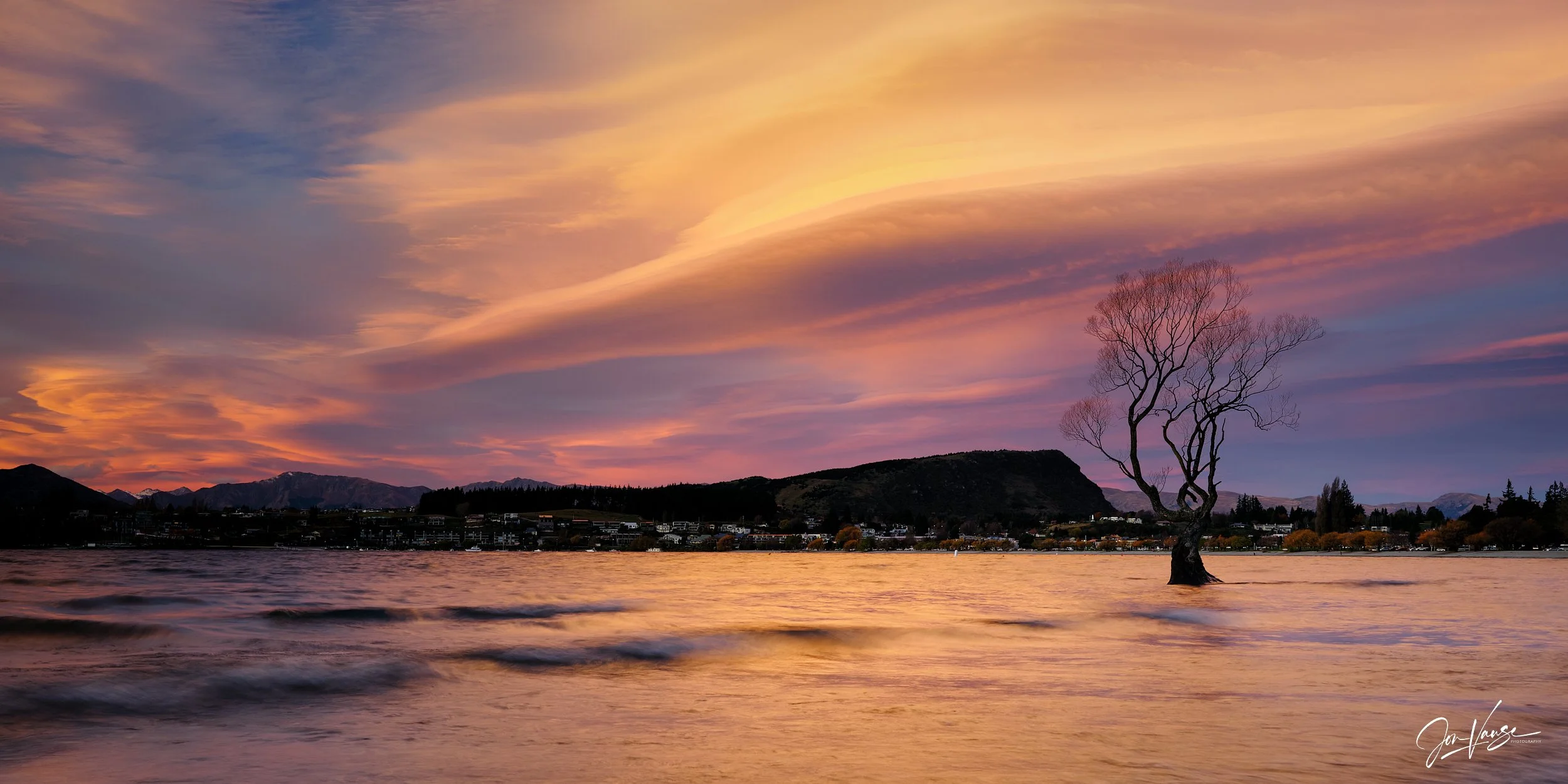 Wanaka_Tree_1x2_Web Gallery - JPEG(2500px)__NZ_2025___DSF1895_02-06-25.jpg