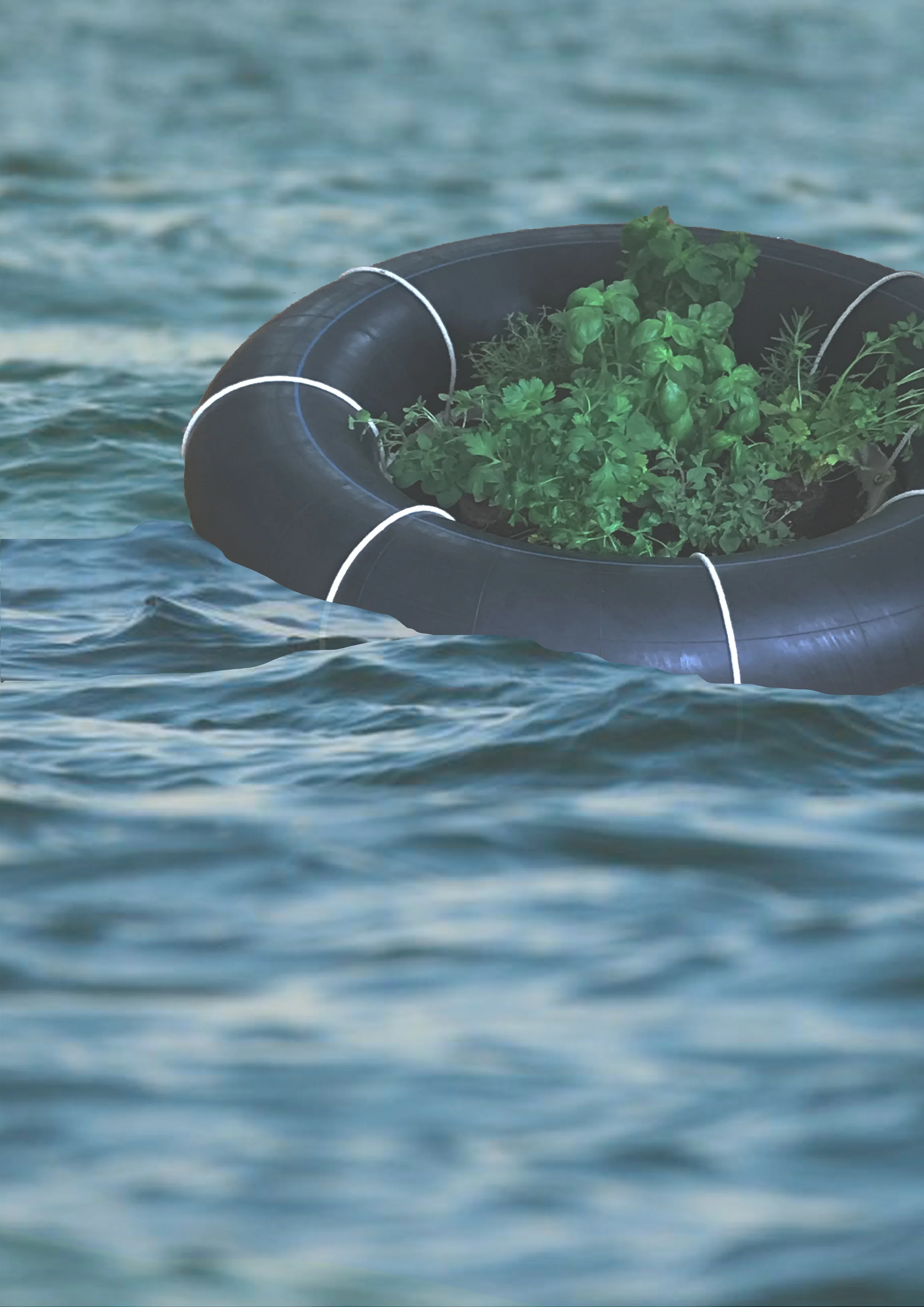 Image of floating garden in east river nyc