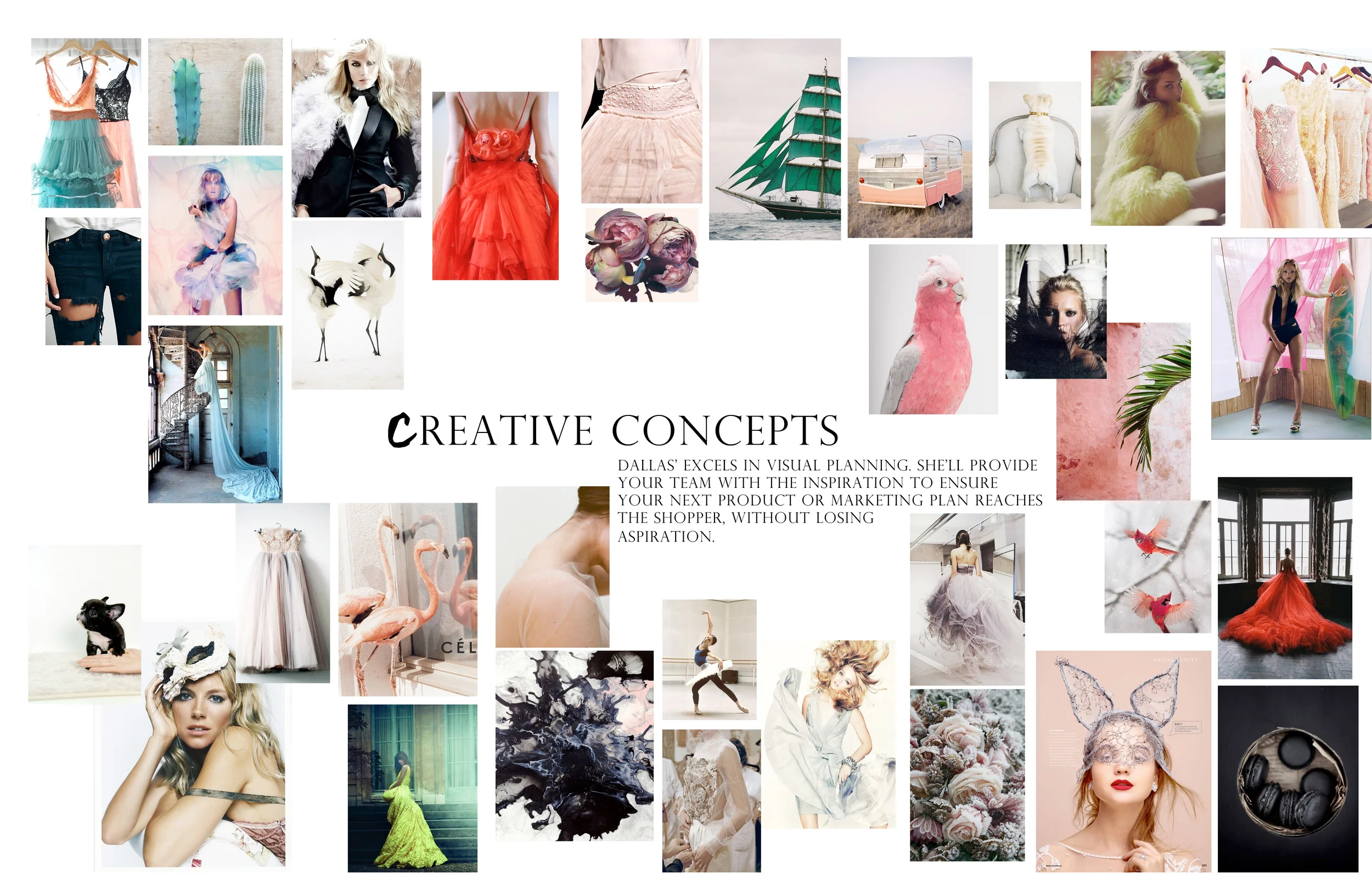 Creative Concepts/Art Direction