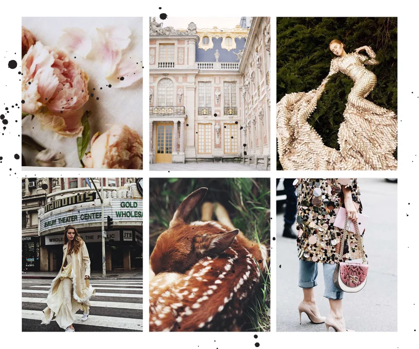 moodboard.jpg