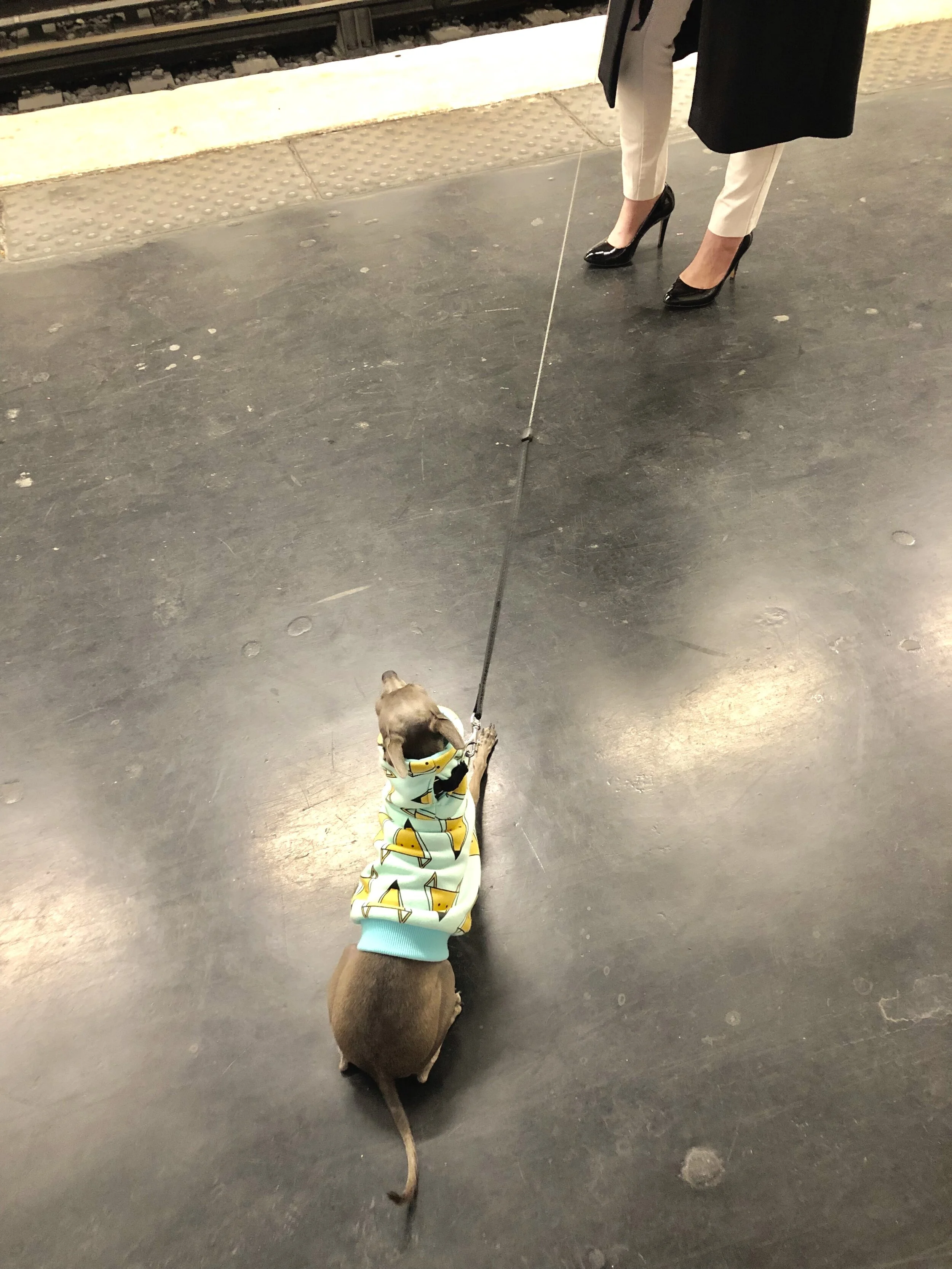 IMG_0482.JPEG