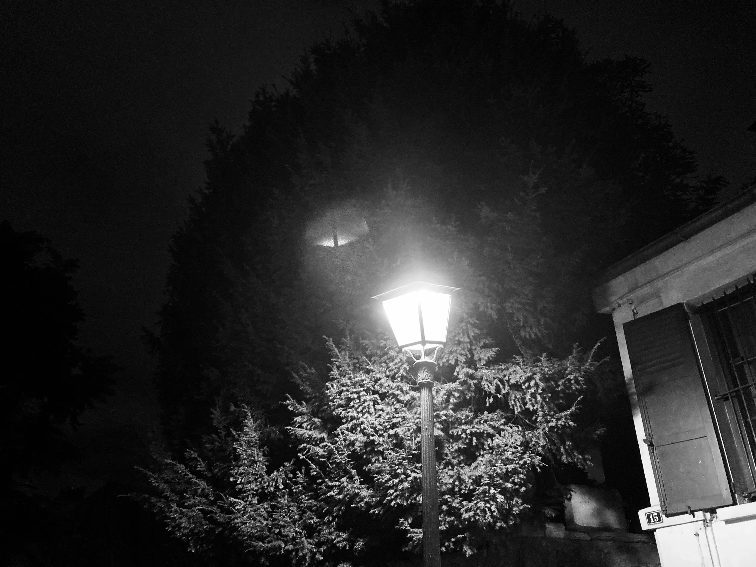 IMG_5522.jpeg
