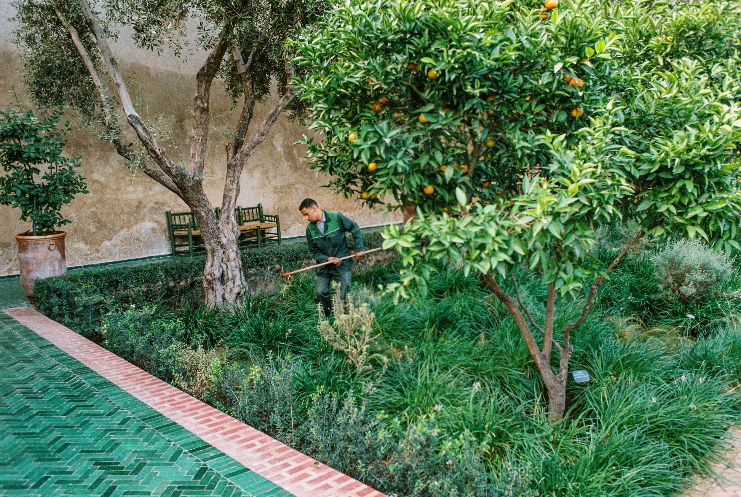 HL_ABREZNAY_Marrakech-2.jpg