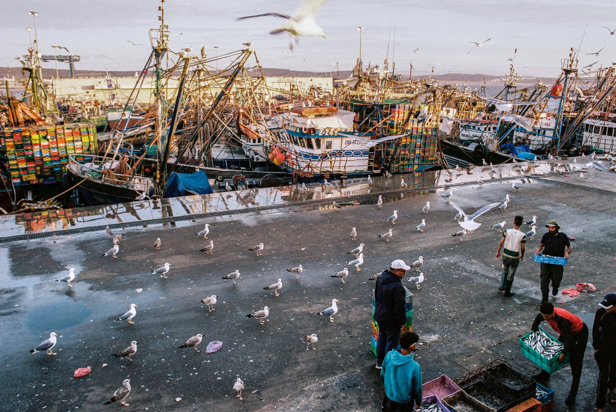 HL_ABREZNAY_Essaouira-11.jpg