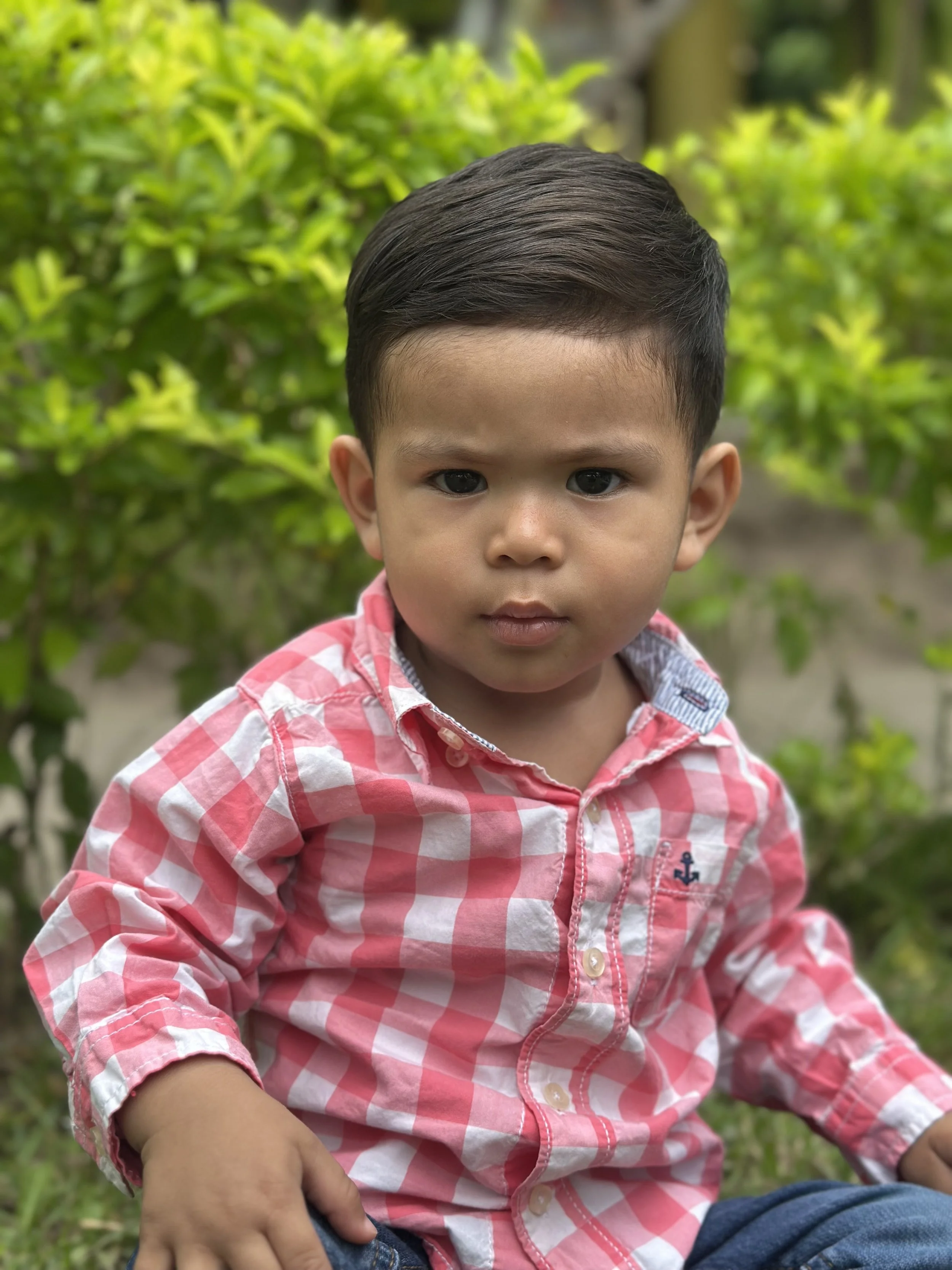 Cesar
