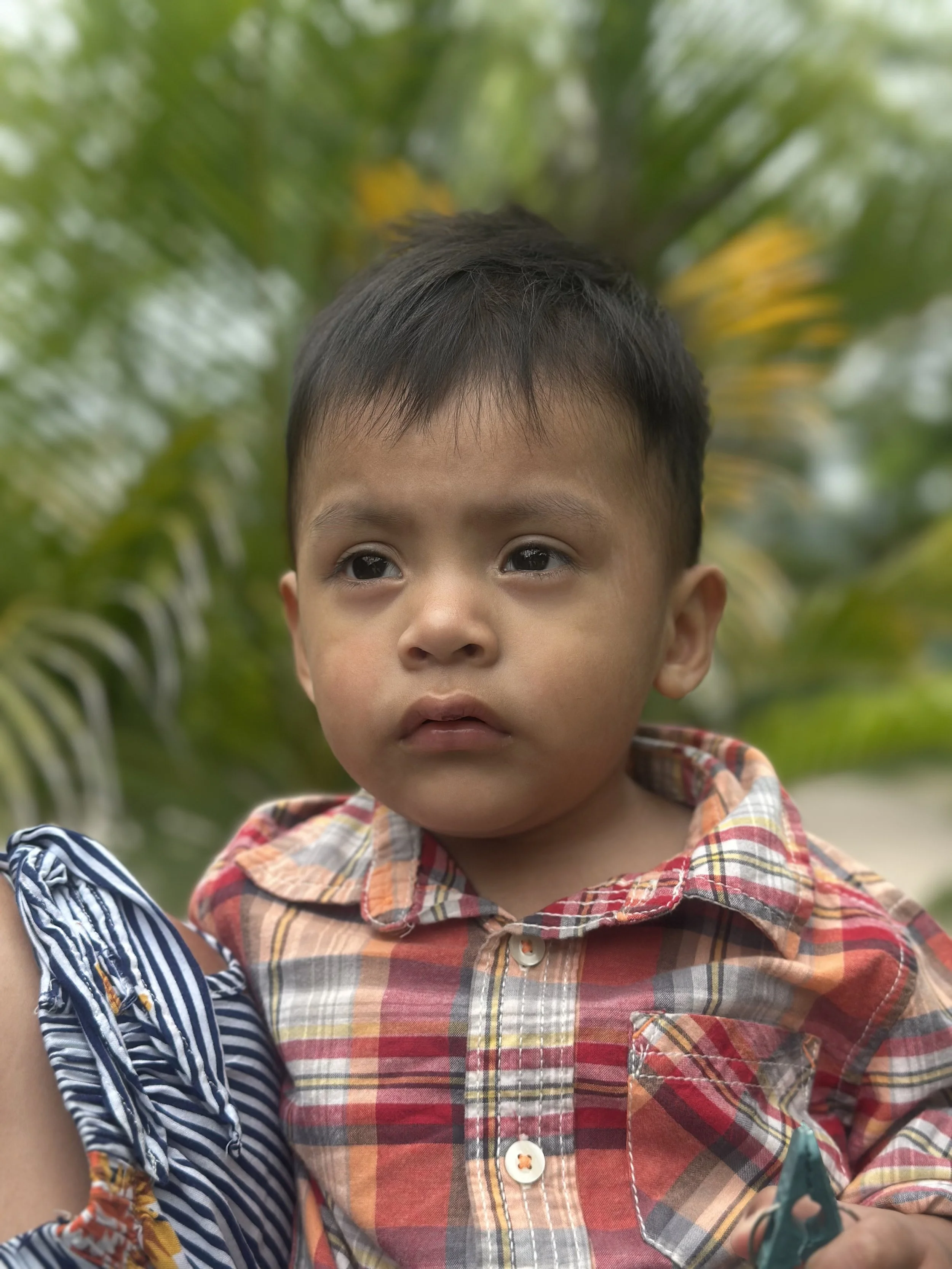 Mateo