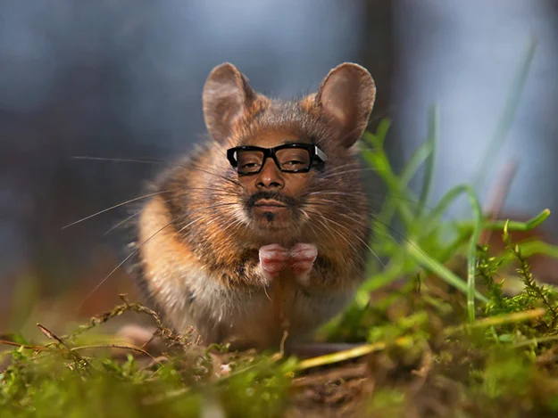 SnoopDogg.jpg
