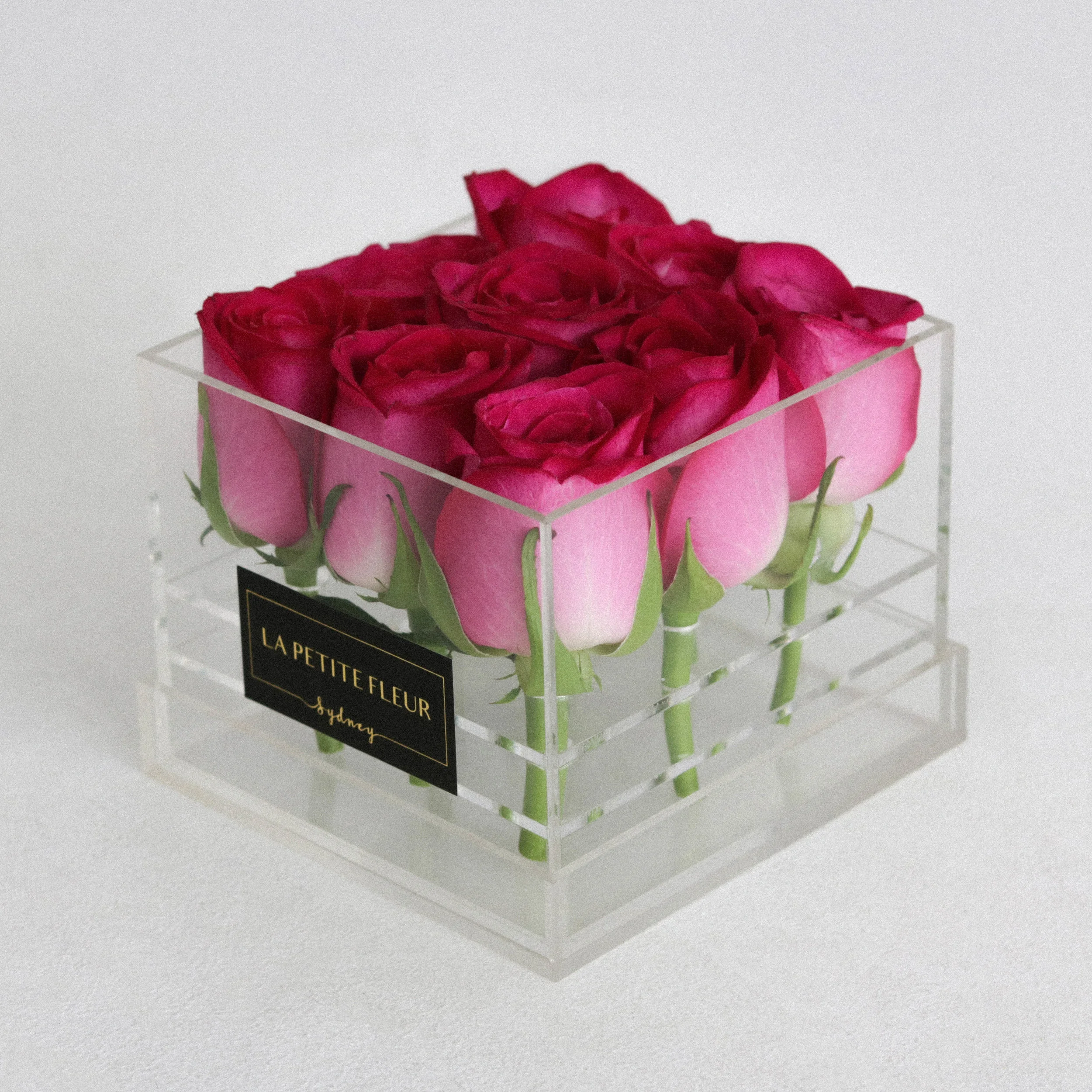IMG_3231.jpg