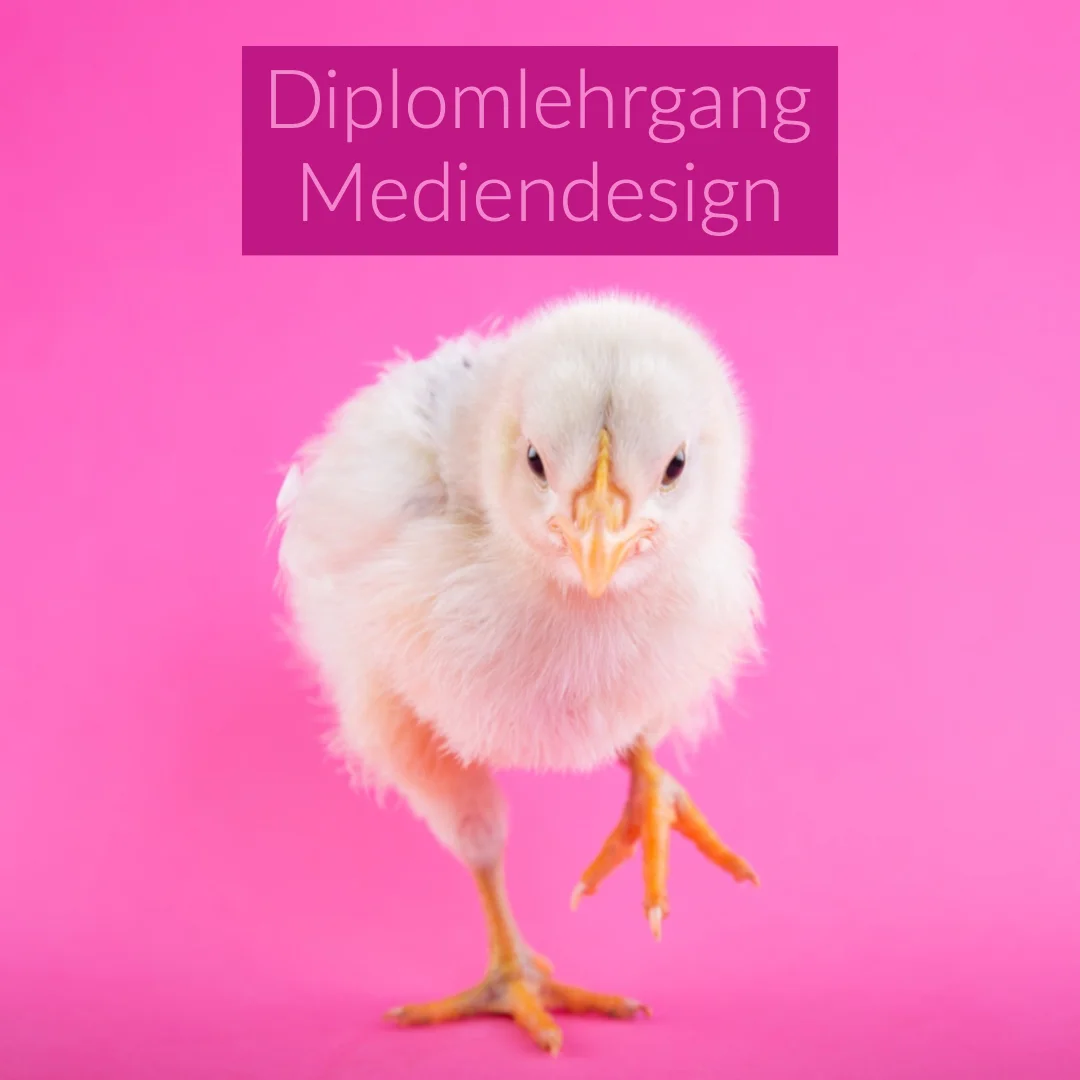 Diplomlehrgang Mediendesign an der LIK Akademie für Foto und Design.